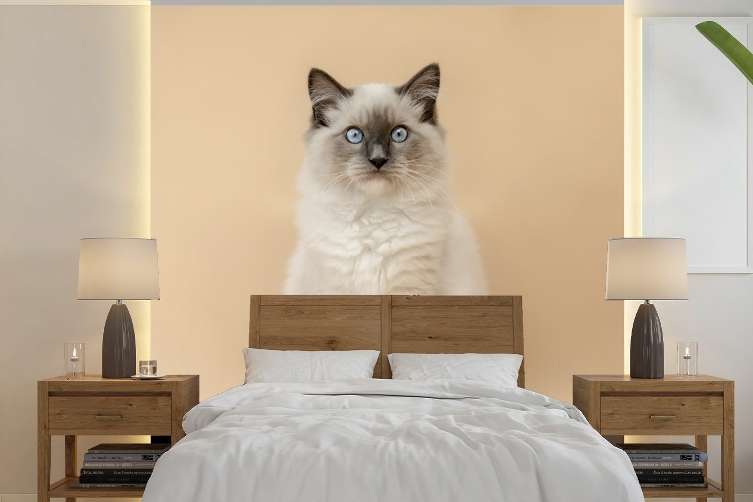 MuchoWow Fototapete Katze - Siamese - Porträt - Mädchen - Kinder - Jungen - Kinder, Matt, bedruckt, (5 St), Vinyl Tapete für Wohnzimmer oder Schlafzimmer, Wandtapete