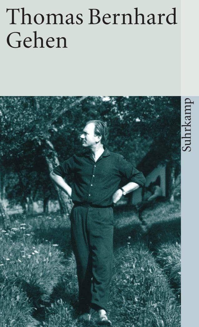 Gehen / Thomas Bernhard, X