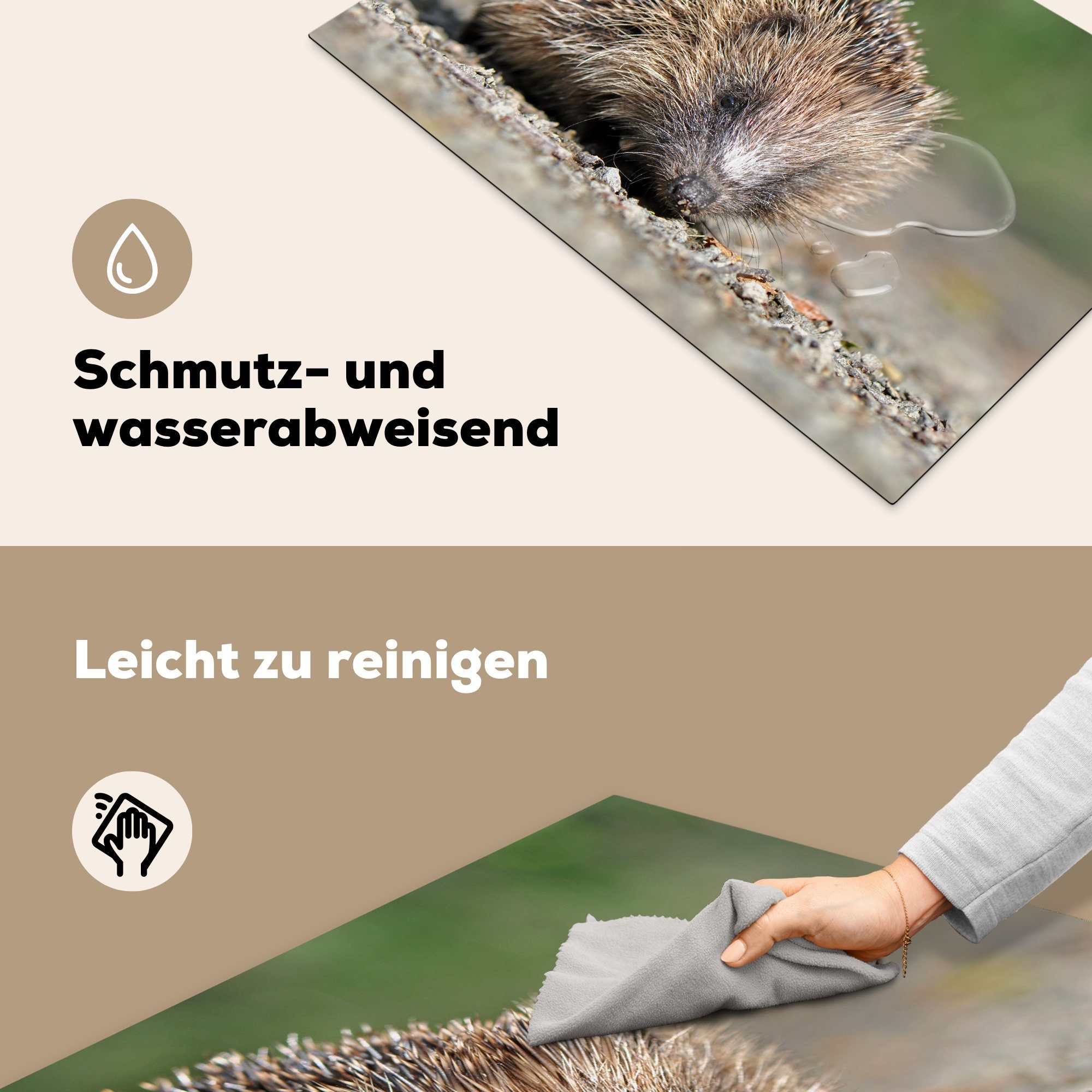 MuchoWow Herdblende-/Abdeckplatte Igel auf Schotter, für die küche, cm, 81x52 (1 Vinyl, tlg), Schutz Induktionskochfeld Ceranfeldabdeckung