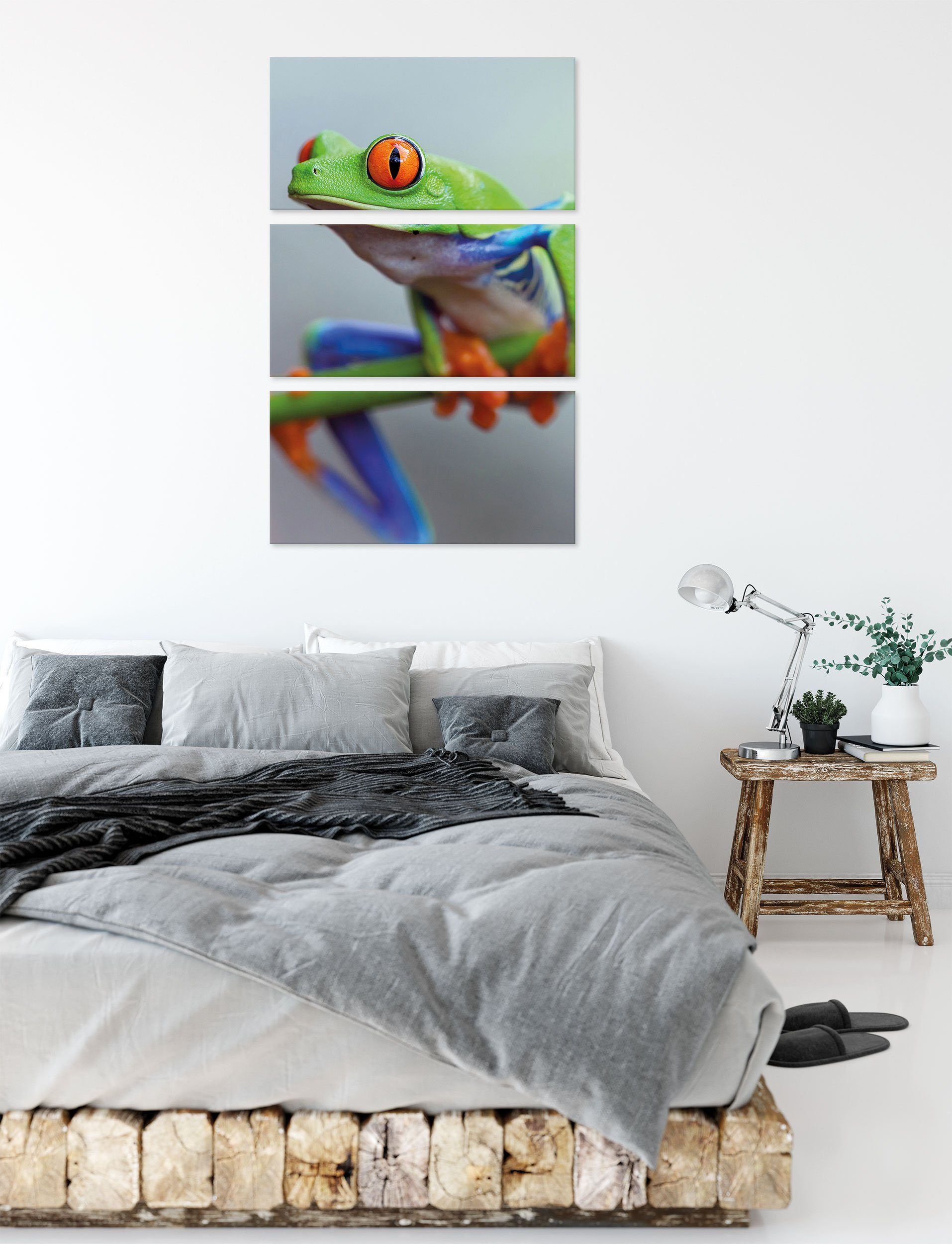 Leinwandbild Frosch Ast Grüner auf St), Zackenaufhänger Leinwandbild inkl. fertig 3Teiler (120x80cm) Pixxprint Grüner Frosch (1 bespannt, Ast, auf
