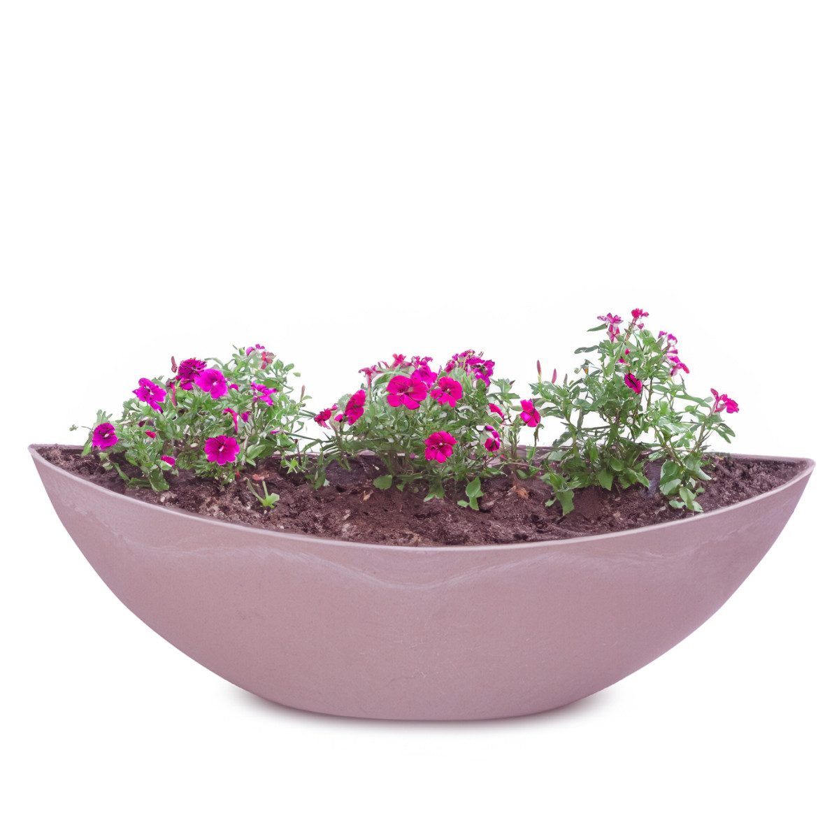 matches21 HOME & HOBBY Blumentopf Große Pflanzschale oval 39 cm für draussen Dekoschale alt-rosa (1 St), Blumen-Schale als wetterfeste Friedhof-Schale Grab-Schmuck Grabschale