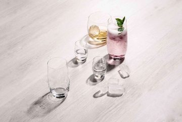 SCHOTT-ZWIESEL Whiskyglas For you Whiskybecher 400 ml 4er Set, Glas