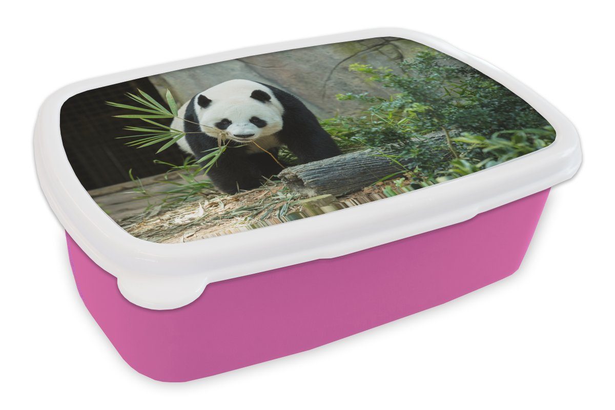 Erwachsene, für Höhle, rosa Brotbox Baumstamm Snackbox, - (2-tlg), Lunchbox Mädchen, Kinder, Brotdose Panda Kunststoff - MuchoWow Kunststoff,