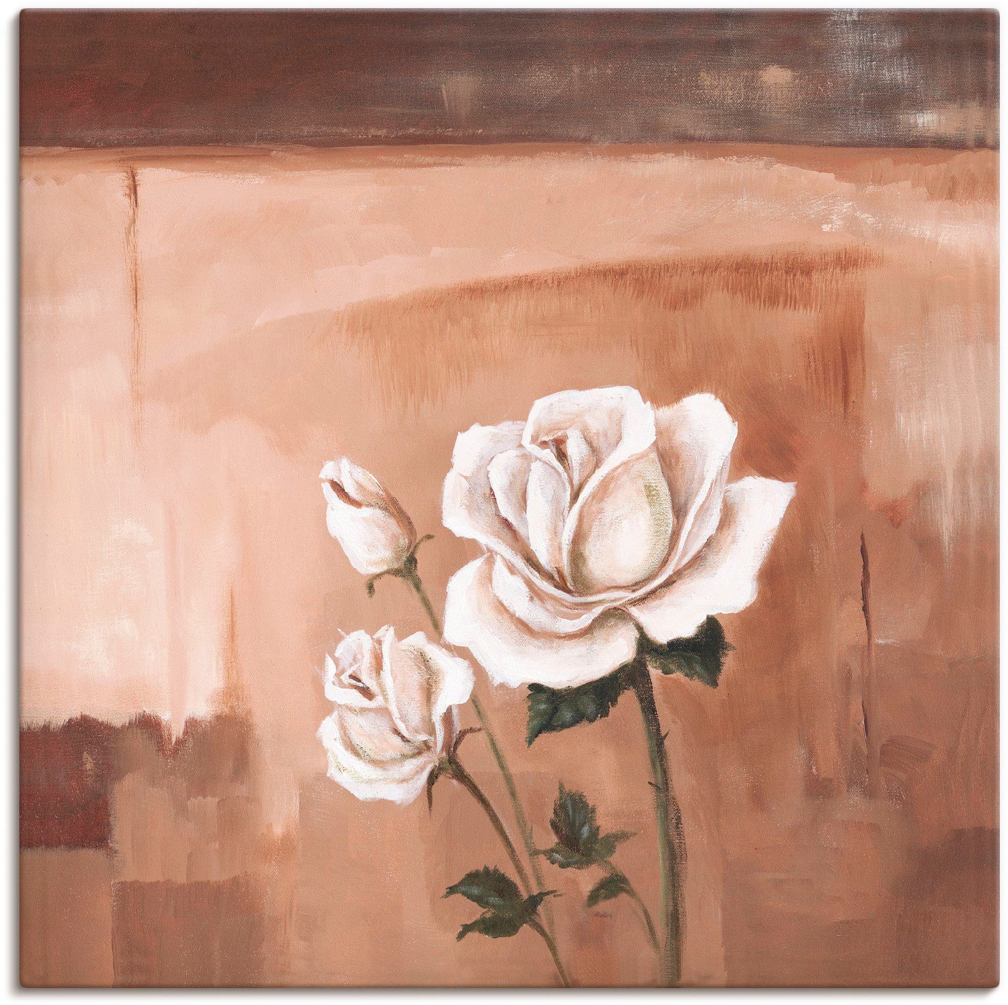 Nur jetzt Rabatt Artland Wandbild Rosen Leinwandbild, in St), II, Größen Alubild, als Blumenbilder Wandaufkleber Poster oder (1 versch