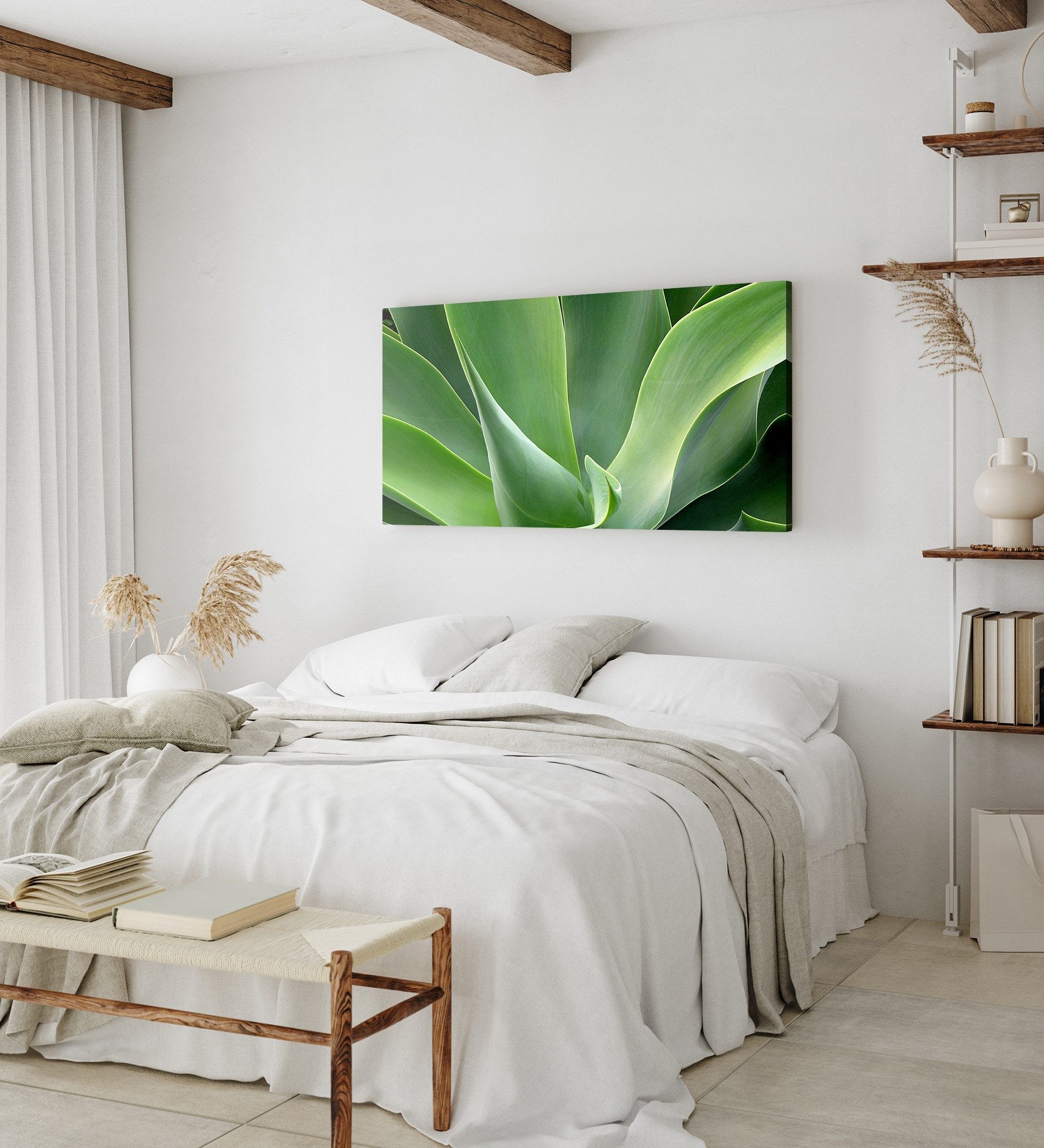 Sinus Art Leinwandbild Kunstdruck Bilder 120x60cm Grüne Pflanze Aloe Vera Fotokunst Nahaufnah, (1 St)