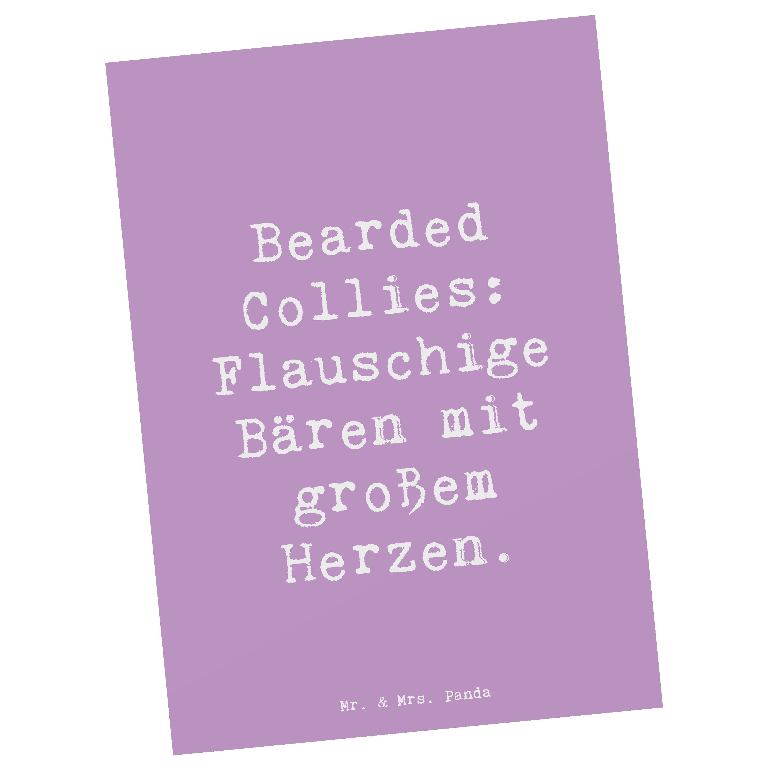 Mr. & Mrs. Panda Postkarte Spruch Bearded Collie Bärenherz, Postkarte, Lavendeltraum, Ansichtska