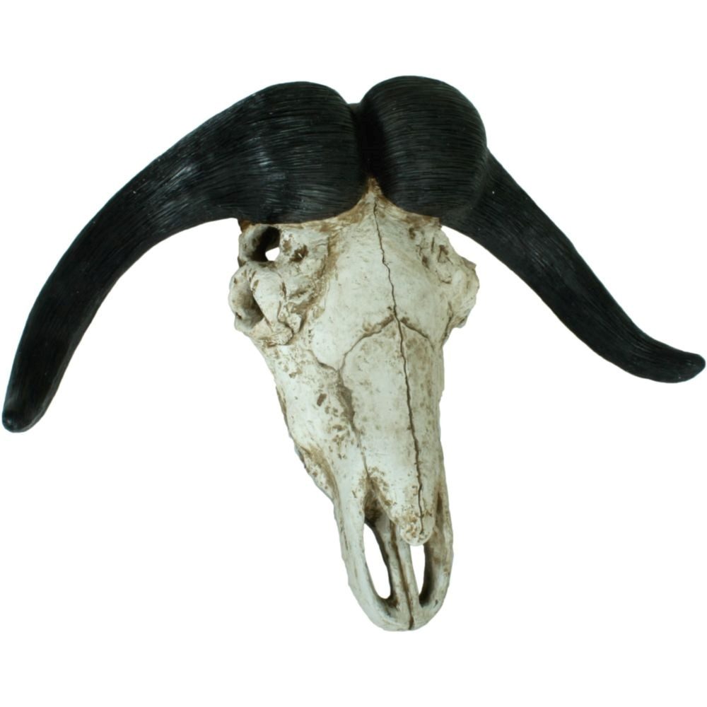 Harms Import Dekogeweih aus Polyresin in natur. Abmessungen (LxBxH) 21x66x49 cm