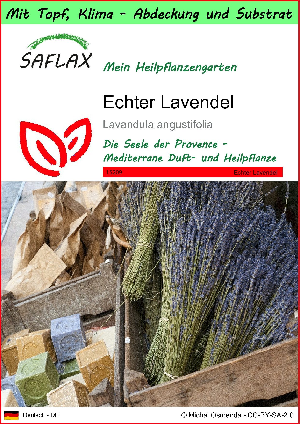 SAFLAX Blumensamen SAFLAX Garden to go Echter Lavendel