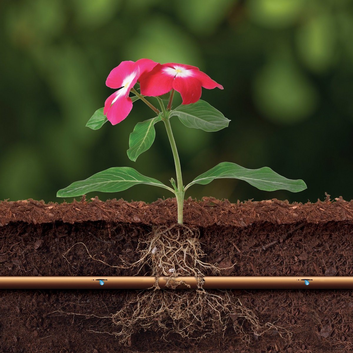 HaGa Bewässerungssystem Tropfschlauchbewässerungs mit Druckkompensierung Starterset 60m