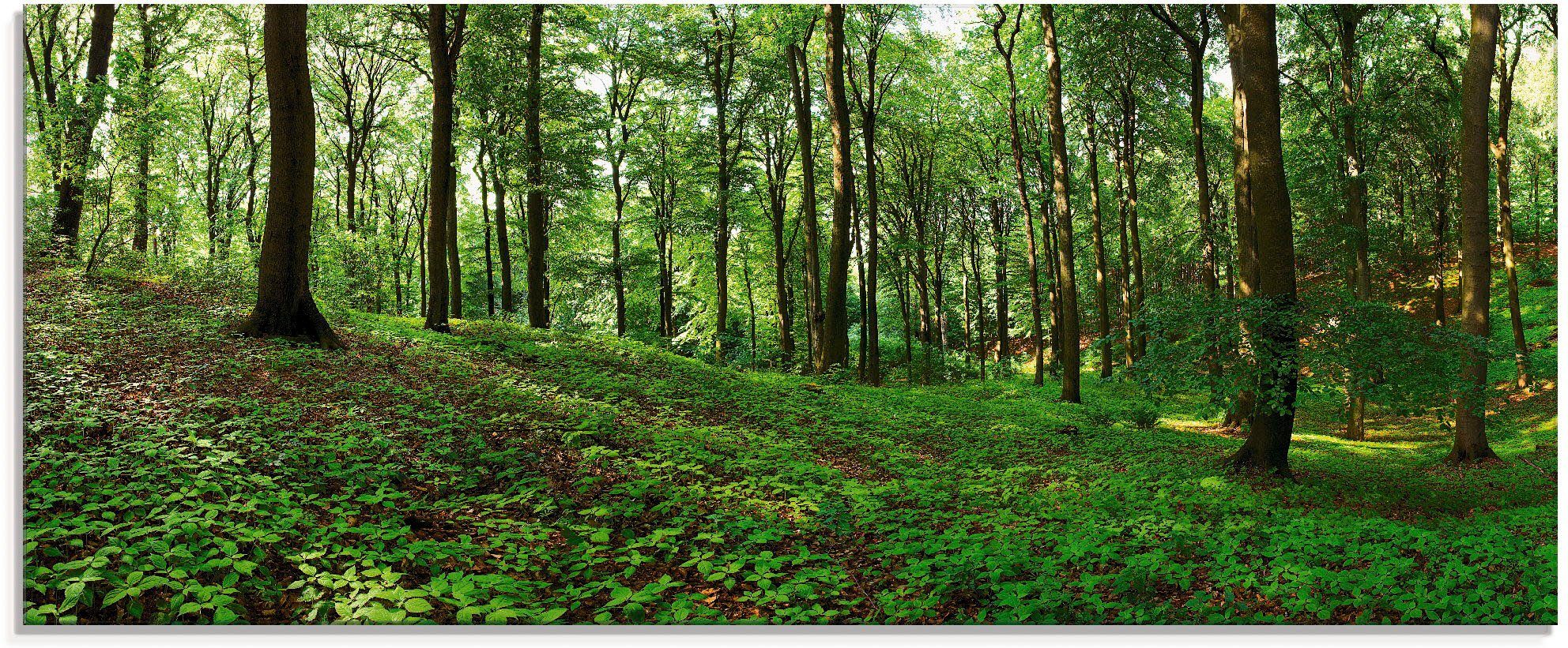 Artland Glasbild Panorama von einem grünen Sommerwald, Wald (1 St), in verschiedenen Größen