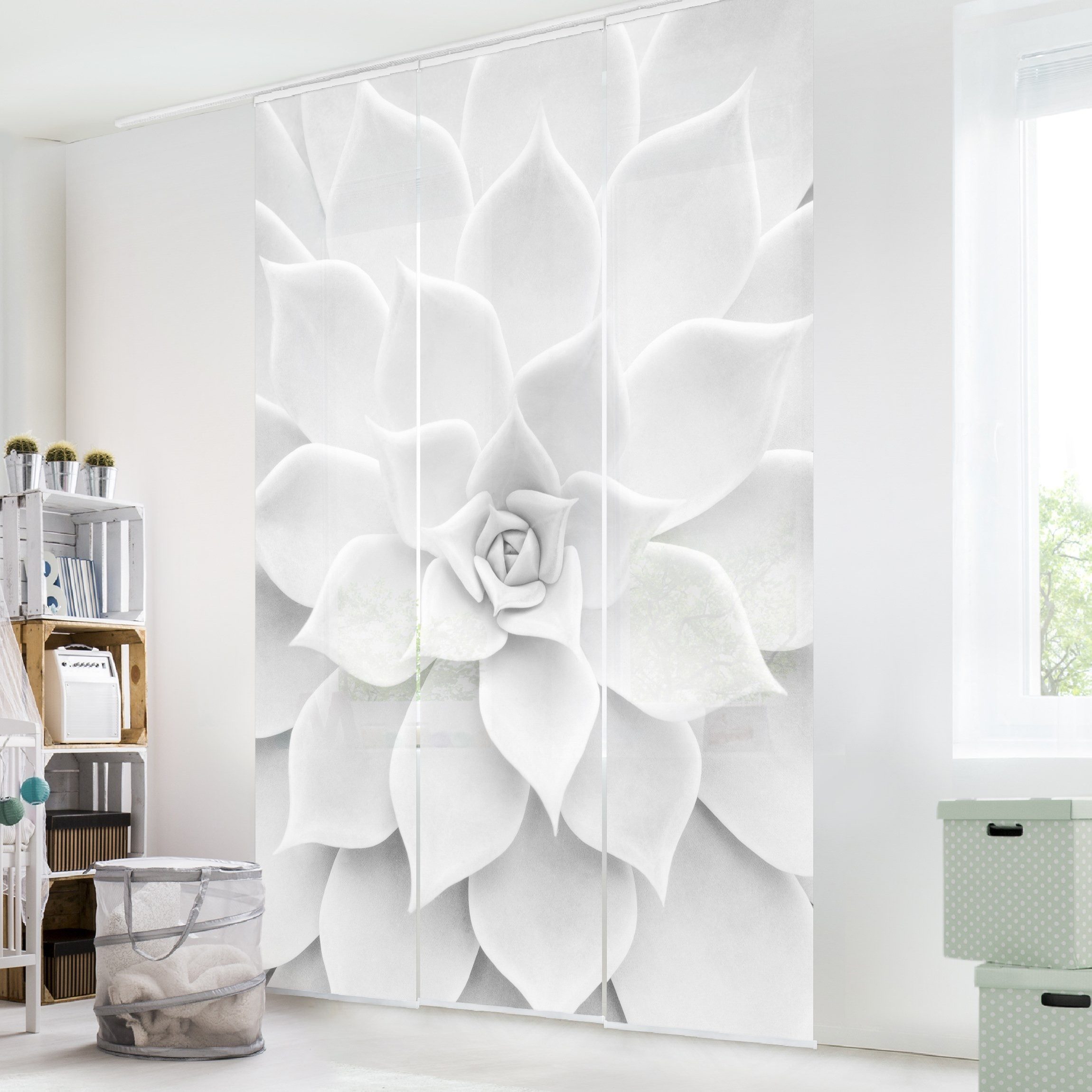 Bilderdepot24 Schiebegardine modern Flächenvorhang blickdicht Kaktus günstig online kaufen