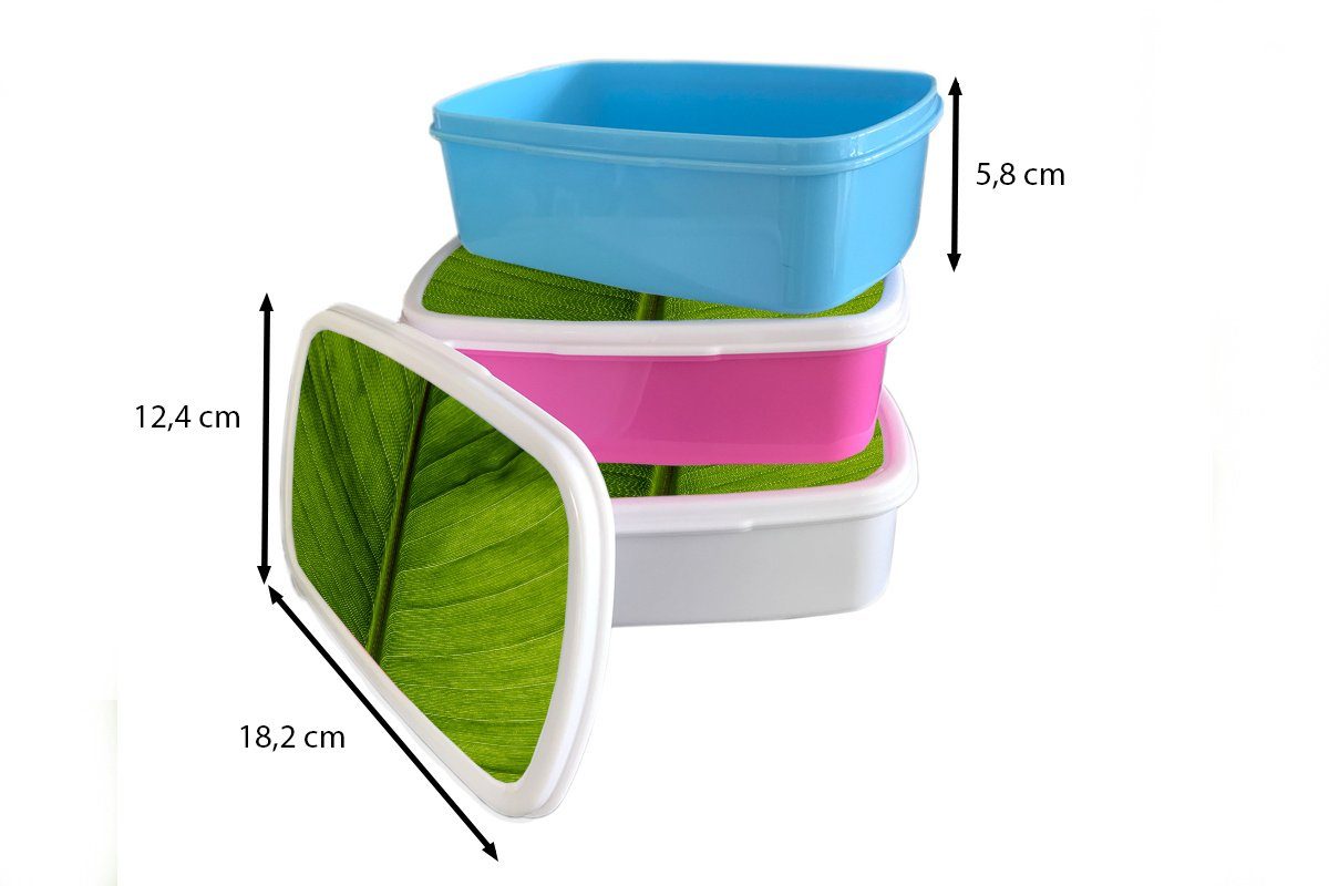 MuchoWow Lunchbox Blätter - Textur Kunststoff, Erwachsene, (2-tlg), Mädchen, Snackbox, - Grün, Brotbox rosa Kunststoff für Brotdose Kinder