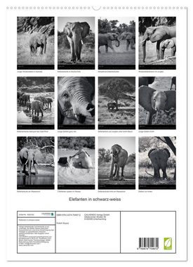 CALVENDO Wandkalender Elefanten in schwarz-weiss (Premium, hochwertiger DIN A2 Wandkalender 2023, Kunstdruck in Hochglanz)