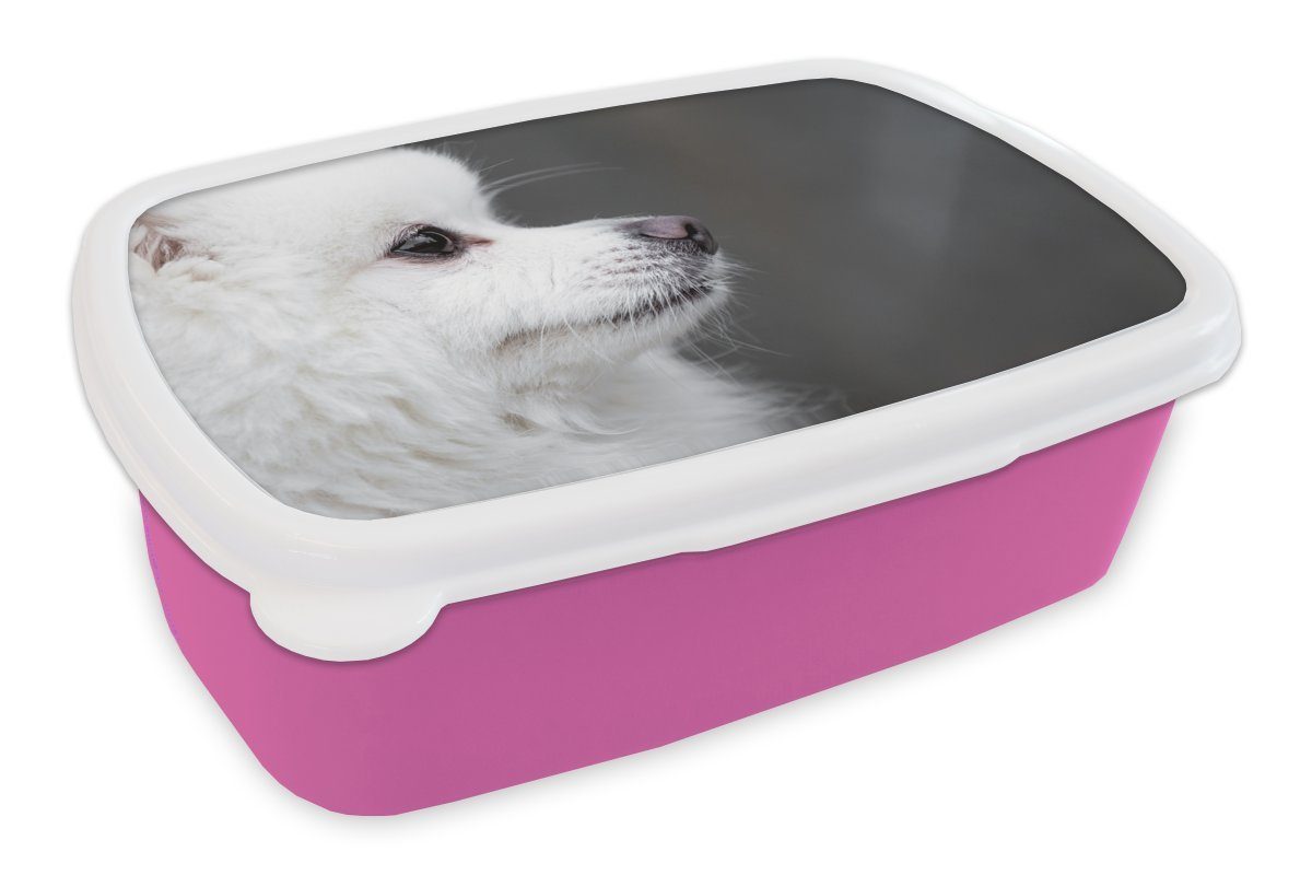 MuchoWow Lunchbox Hund schaut in die Ferne, Kunststoff, (2-tlg), Brotbox für Erwachsene, Brotdose Kinder, Snackbox, Mädchen, Kunststoff rosa