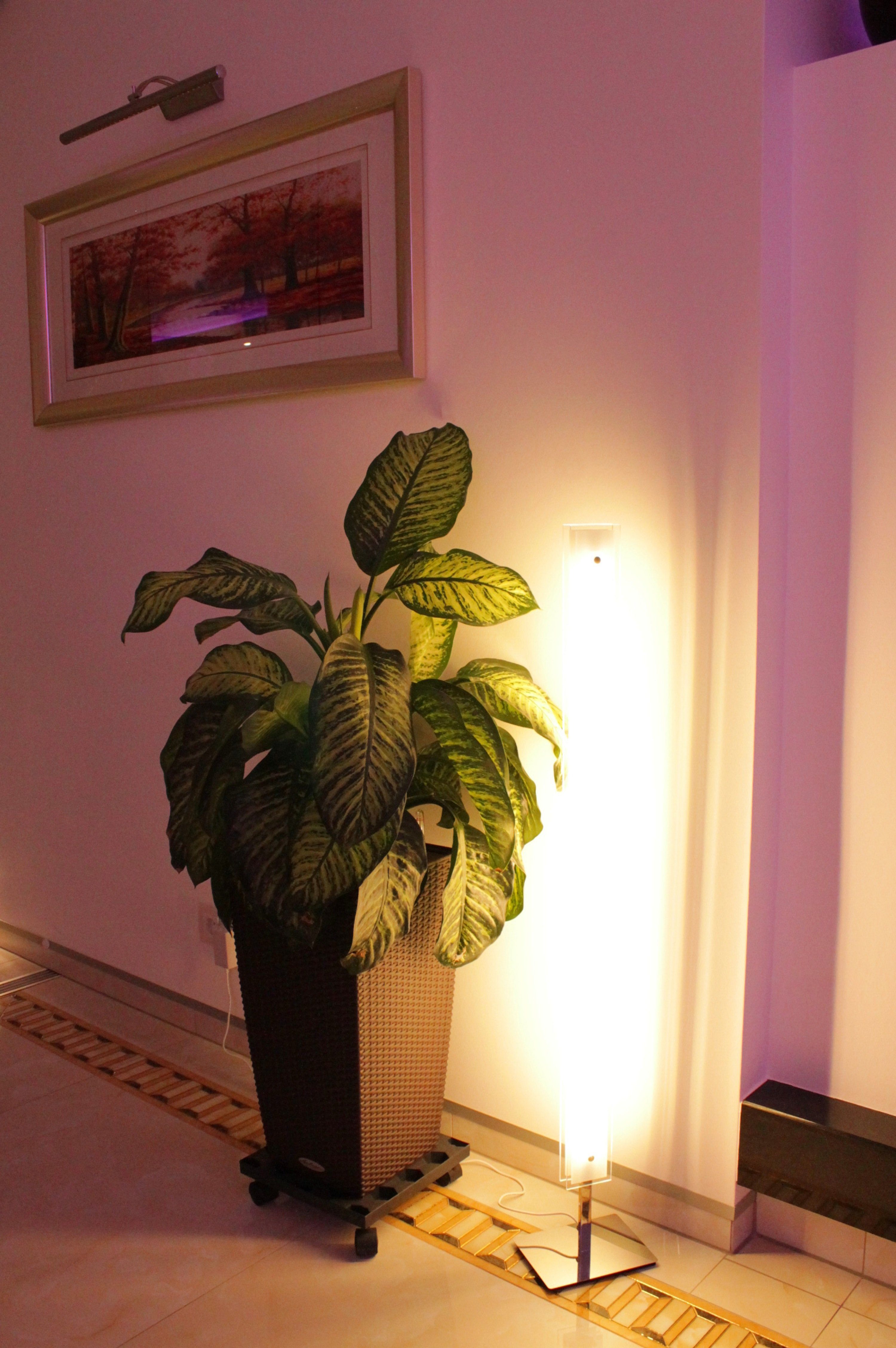 TRANGO LED Stehlampe, 1517 LED Stehlampe günstig online kaufen