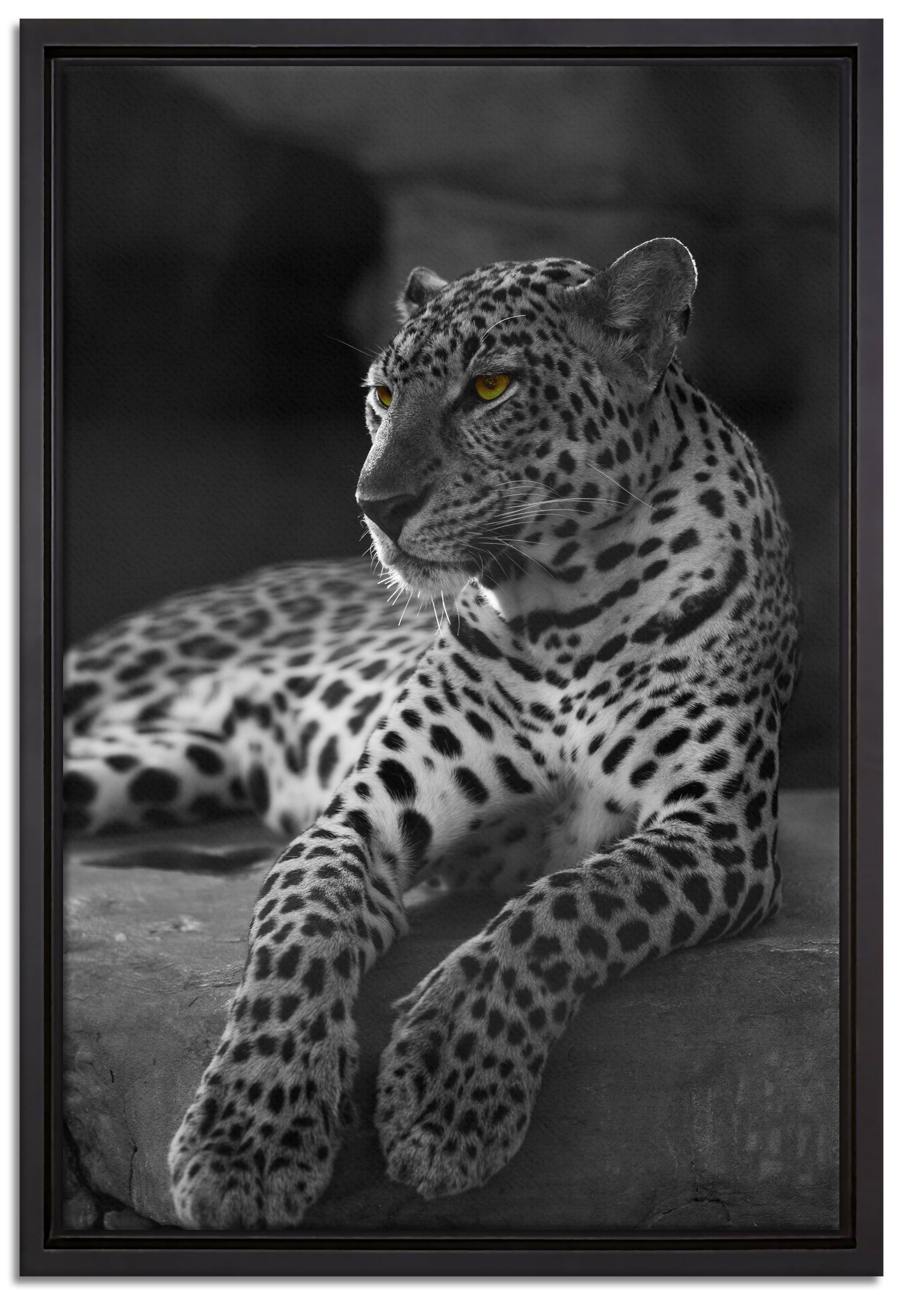 Pixxprint Leinwandbild Leopard auf Felsen liegend, Wanddekoration (1 St), Leinwandbild fertig bespannt, in einem Schattenfugen-Bilderrahmen gefasst, inkl. Zackenaufhänger