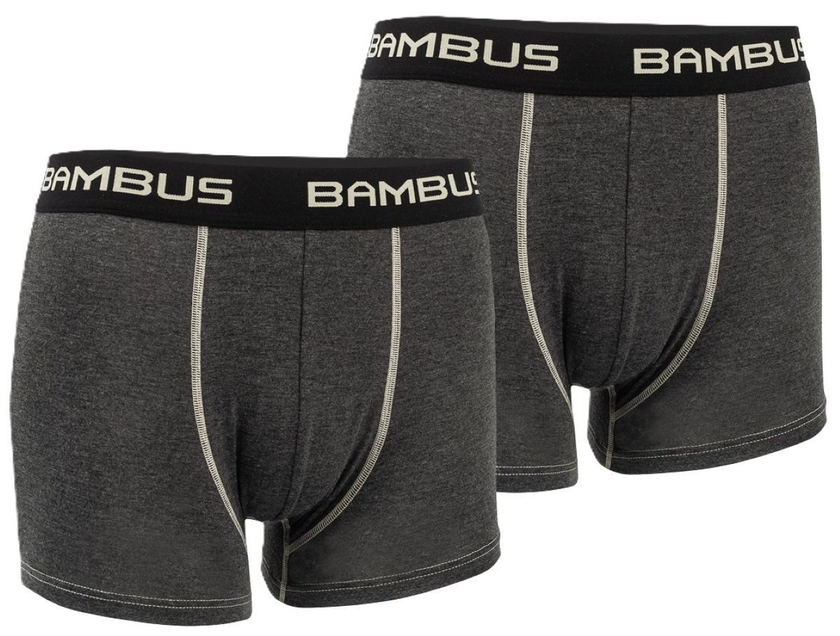 Riese Boxershorts HERREN – Viskose aus Bambus (Packung, 2 Stück) Logo Elastikbund
