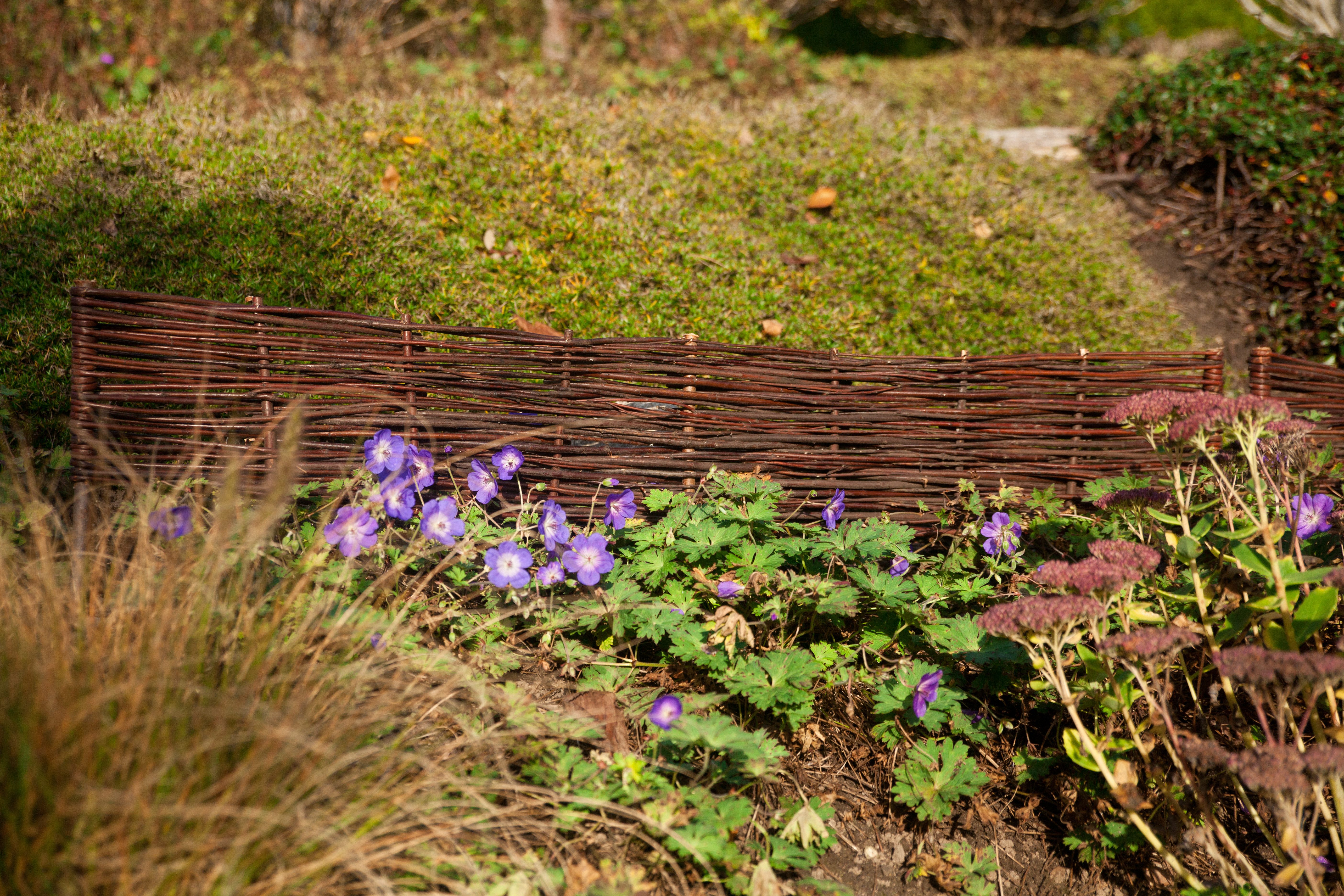KONIFERA Beetbegrenzung aus geöltem Weidenholz, Mini-Beetgrenze 120x35 cm