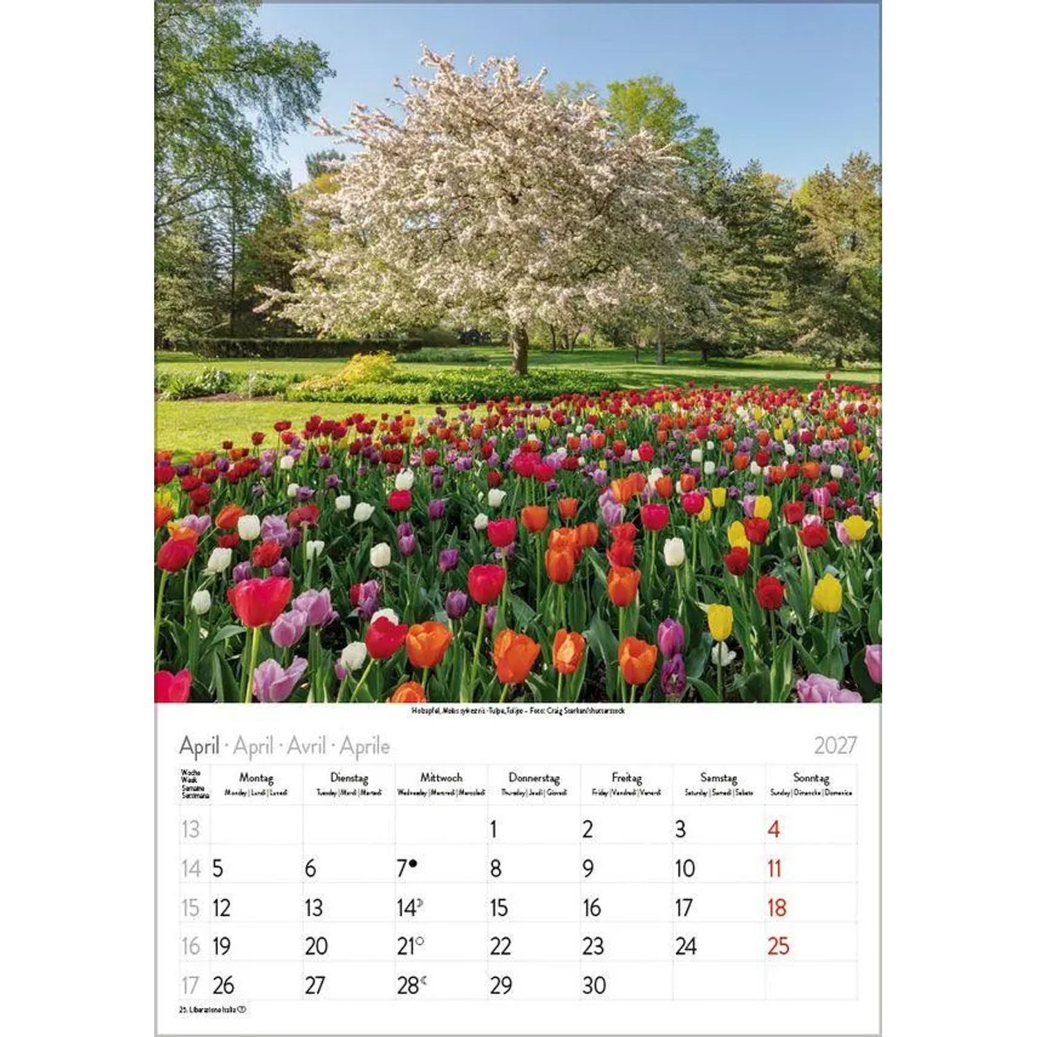 Korsch Verlag Wandkalender Blütenzauber 2027 – Bild 5 von 5