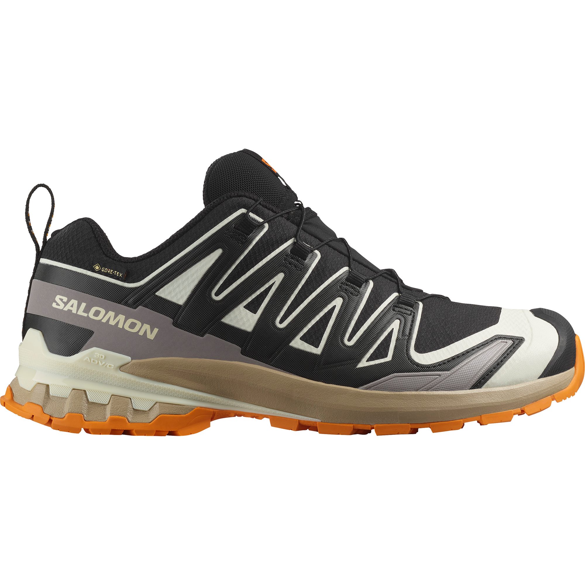 Salomon XA PRO 3D V9 GORE-TEX Laufschuh wasserdicht