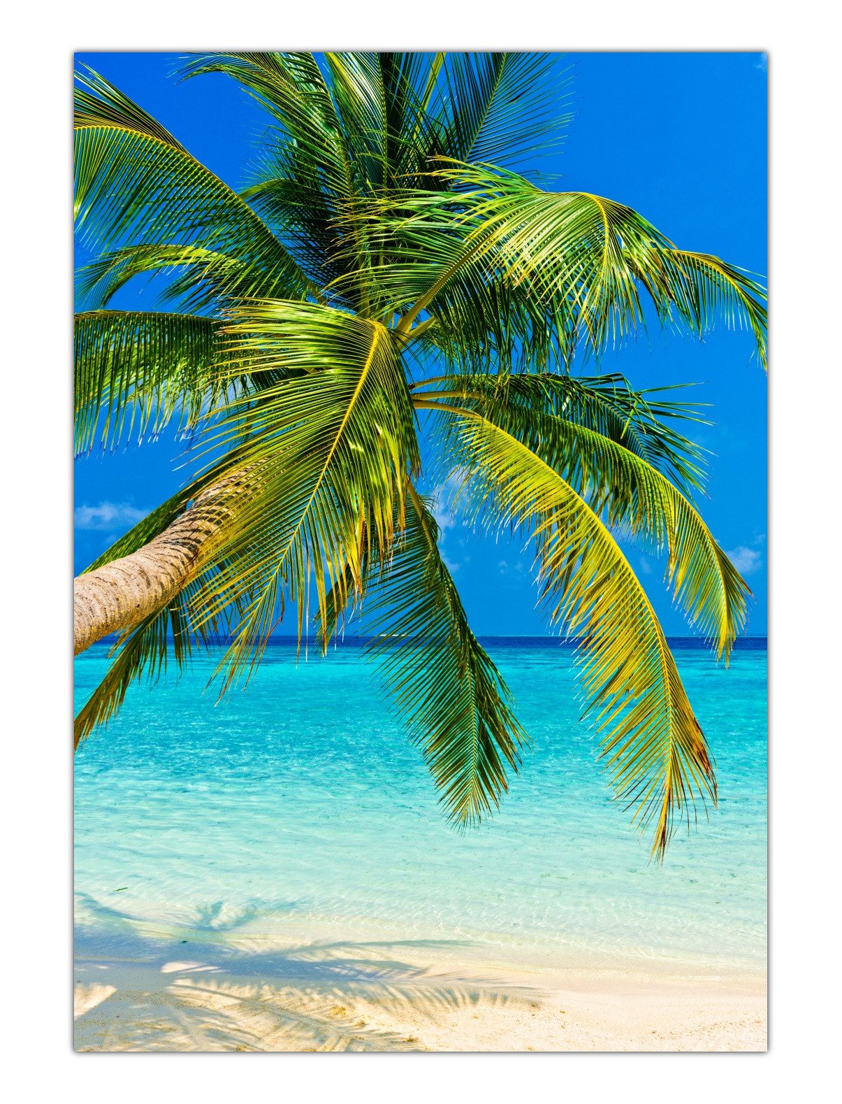 LYSCO Poster XXL Plakat Strand, Palmen, günstig online kaufen