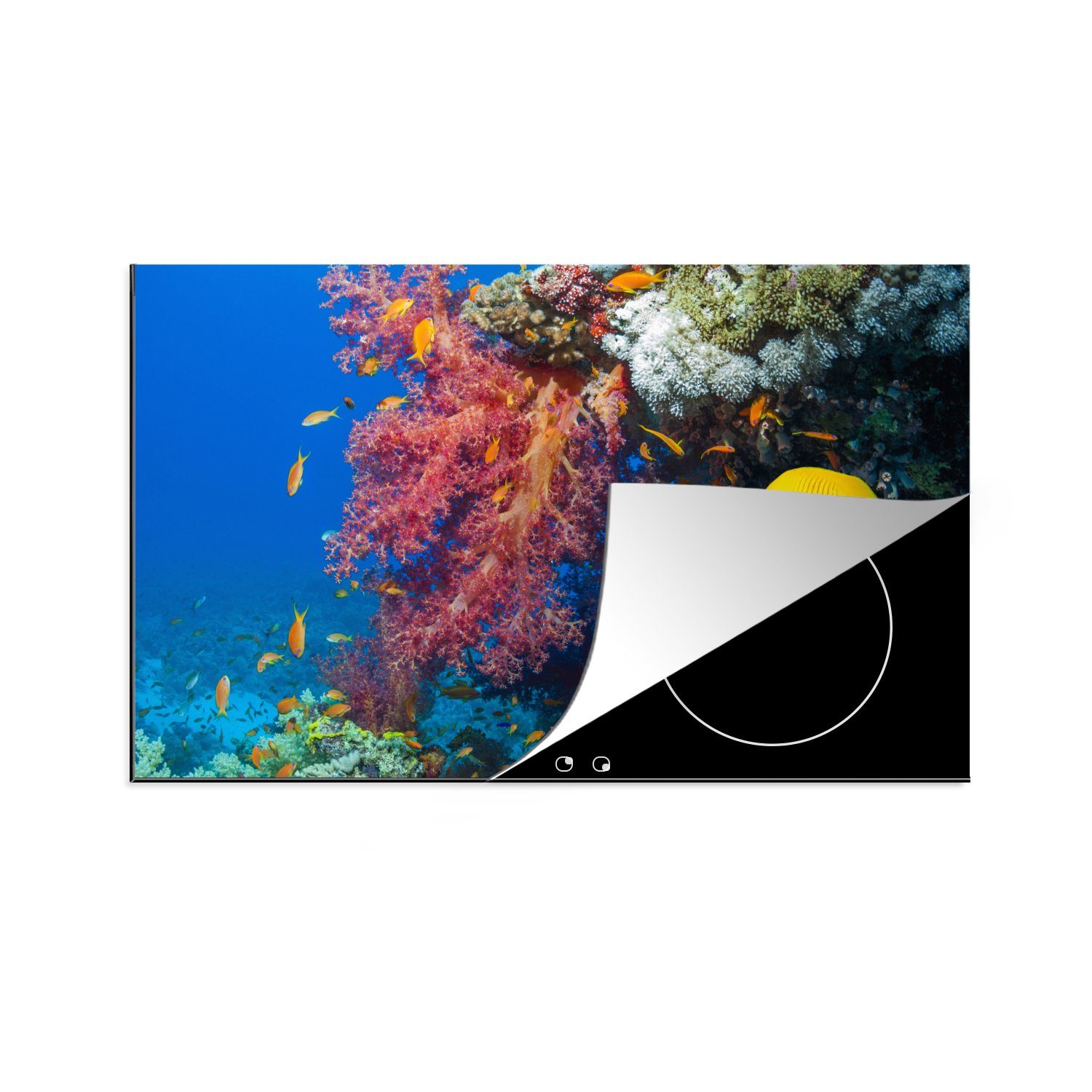 MuchoWow Herdblende-/Abdeckplatte Koralle mit zwei gelben Fischen, Vinyl, (1 tlg), 81x52 cm, Induktionskochfeld Schutz für die küche, Ceranfeldabdeckung