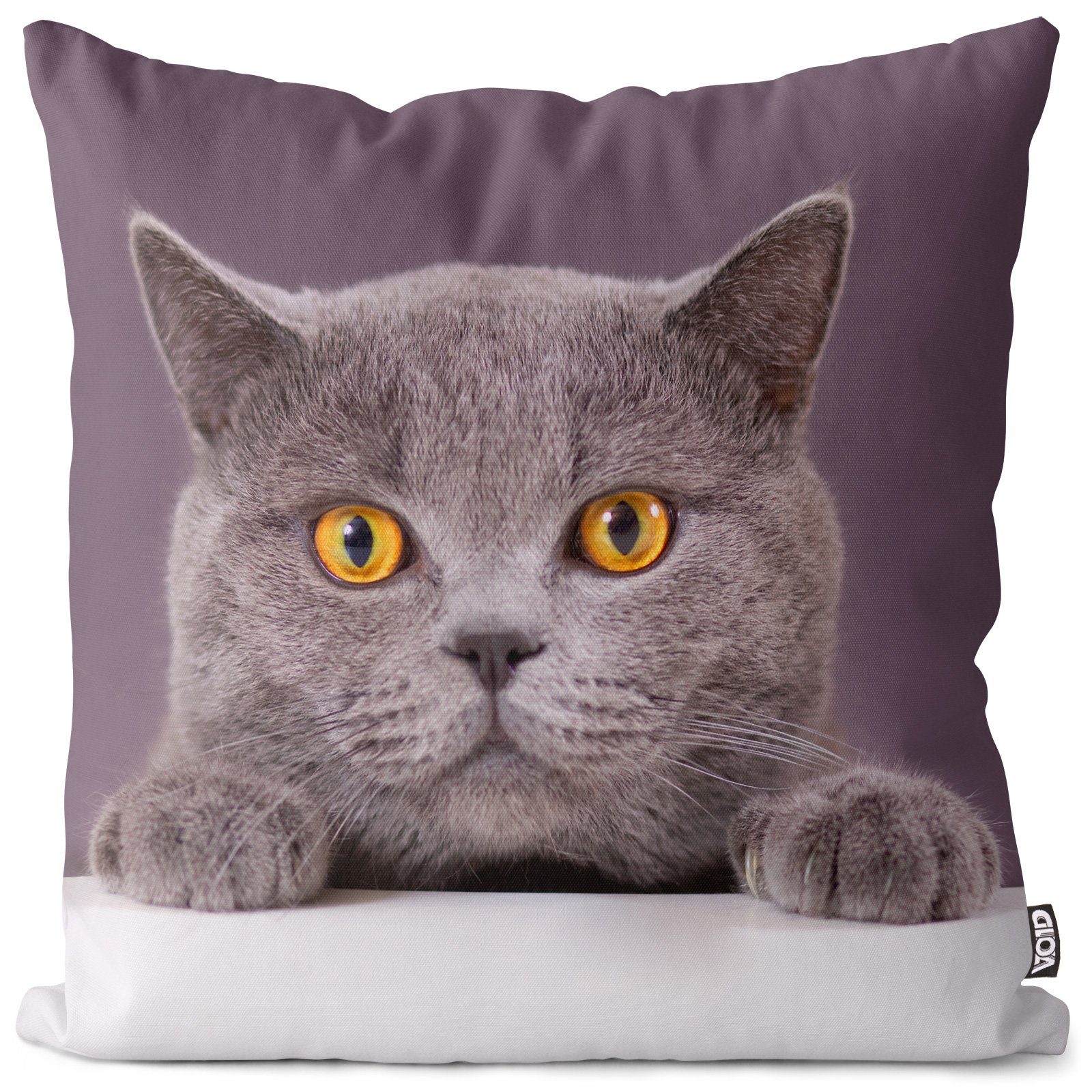 Kissenbezug, VOID (1 Stück), Sofa-Kissen Katze Britisch Kurzhaar Kissenbezug Katze Kätzchen Tier Haustier Kartäuser Scot