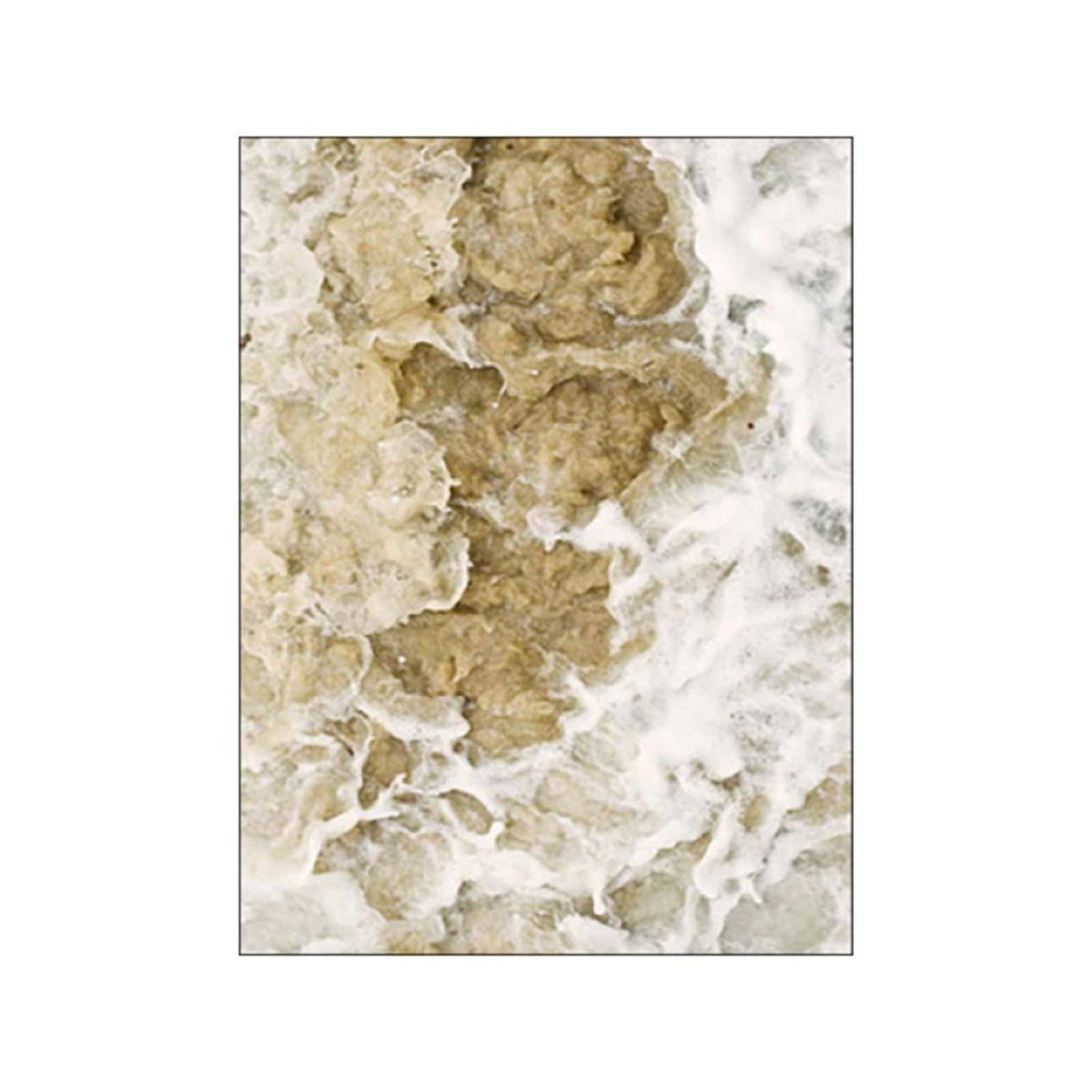 TPFLiving Kunstdruck (OHNE RAHMEN) Poster - Leinwand - Wandbild, Blumen, Blätter, Strand und Meer - (Wanddeko Wohnzimmer), Farben: Beige und Gold - Größe: 10x15cm