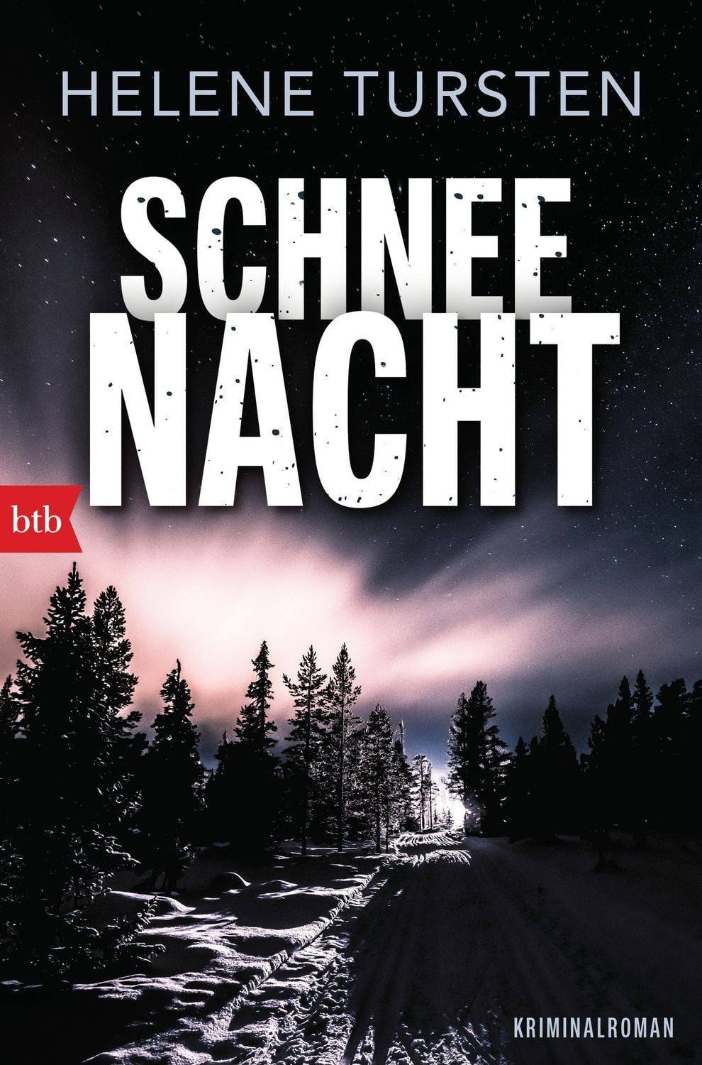 Schneenacht / Helene Tursten