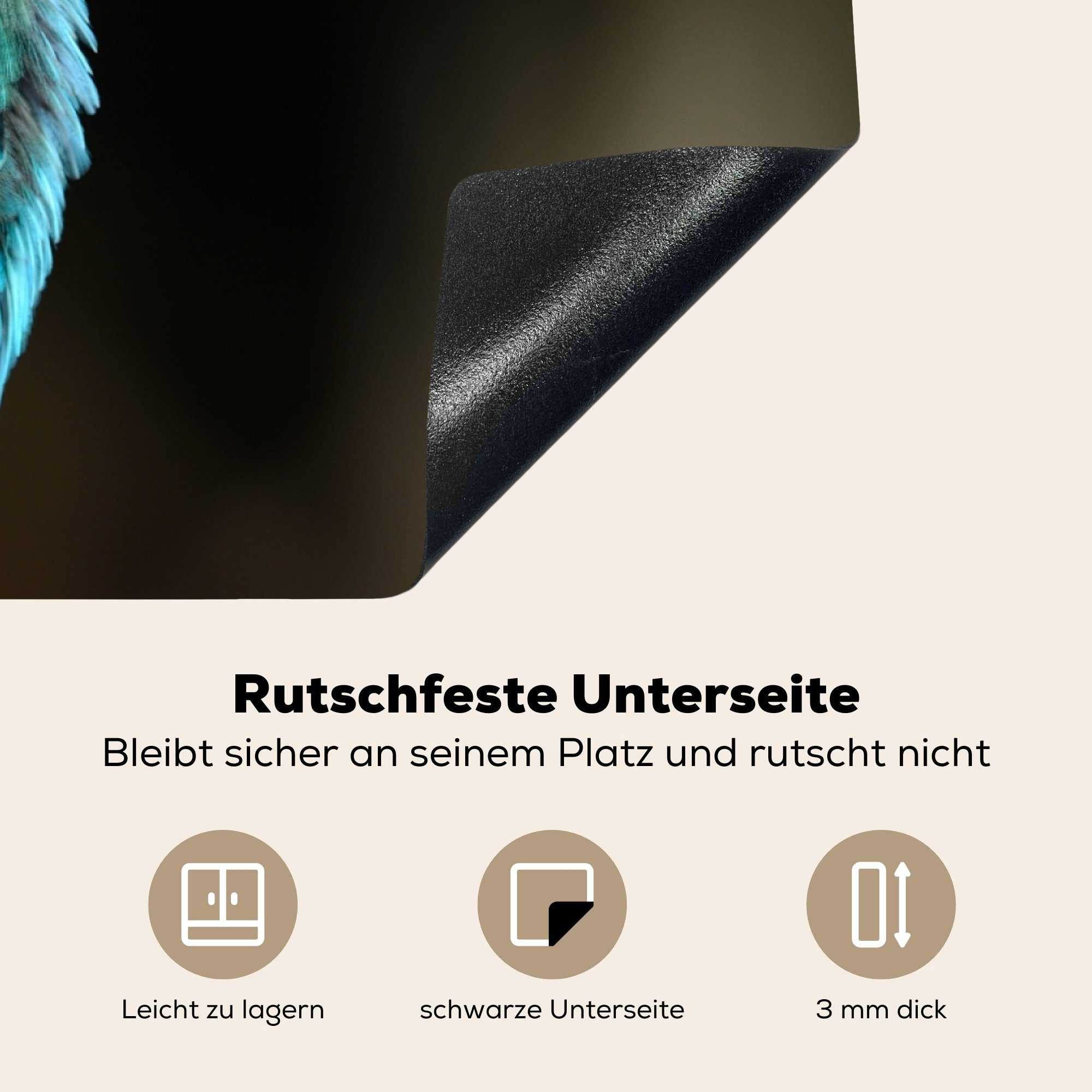 - Herdblende-/Abdeckplatte MuchoWow Schutz Induktionskochfeld cm, Park, Zweige küche, (1 Vinyl, 81x52 für tlg), die Ceranfeldabdeckung Eisvogel -