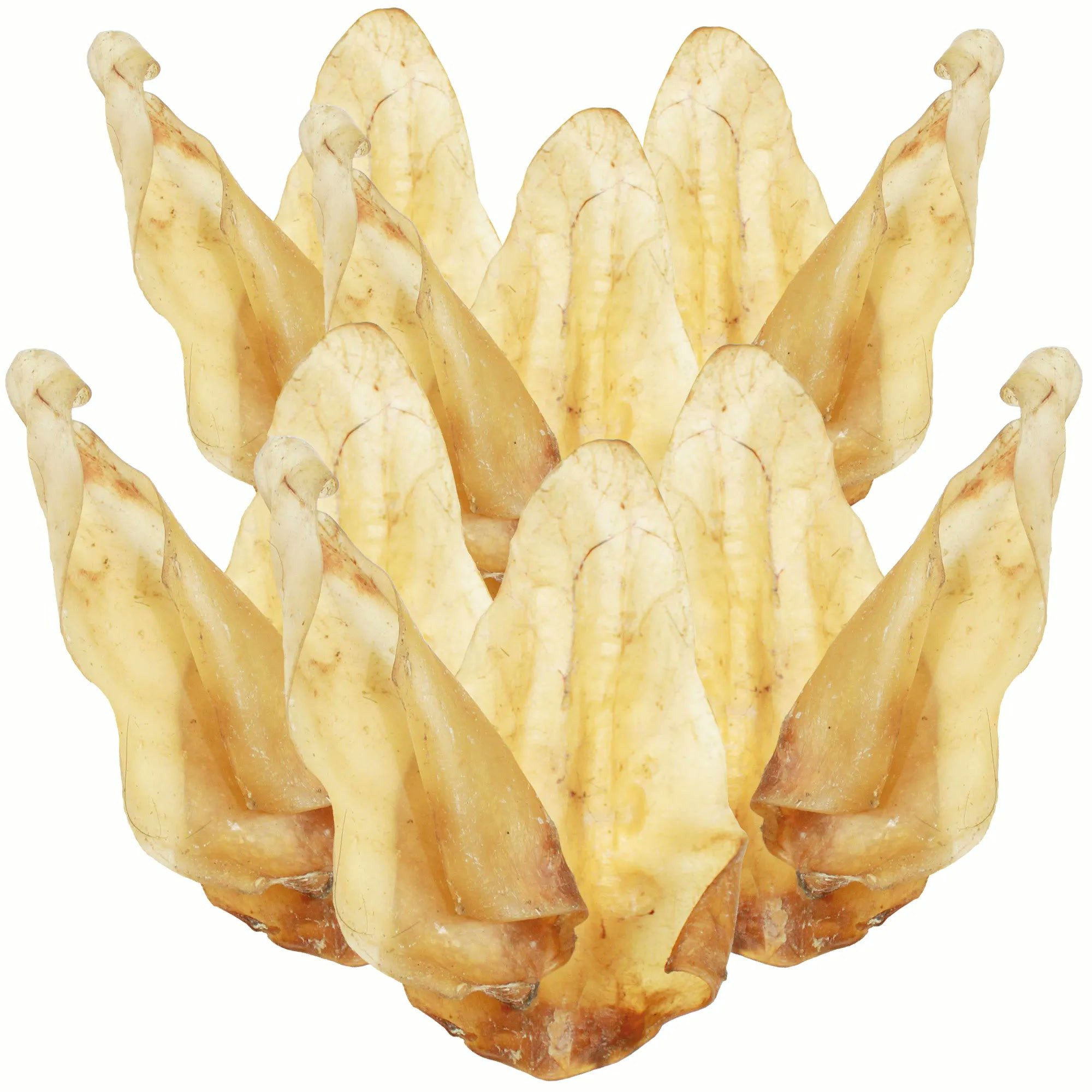 Schecker Schecker Kausnack - Rinderohren getrocknet, BARF für: Hunde, 100% Rinderohr (getrocknet)