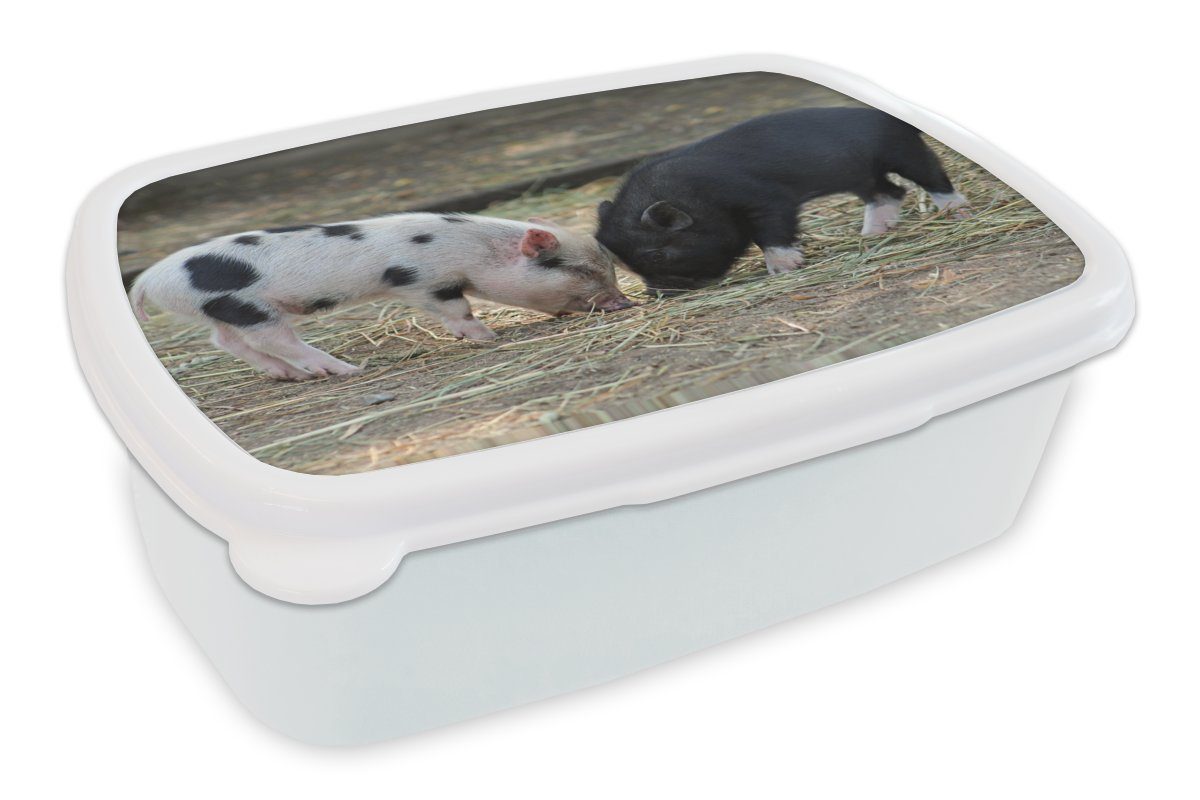 MuchoWow Lunchbox Schweine - Ferkel - Stroh, Kunststoff, (2-tlg), Brotbox für Kinder und Erwachsene, Brotdose, für Jungs und Mädchen weiß