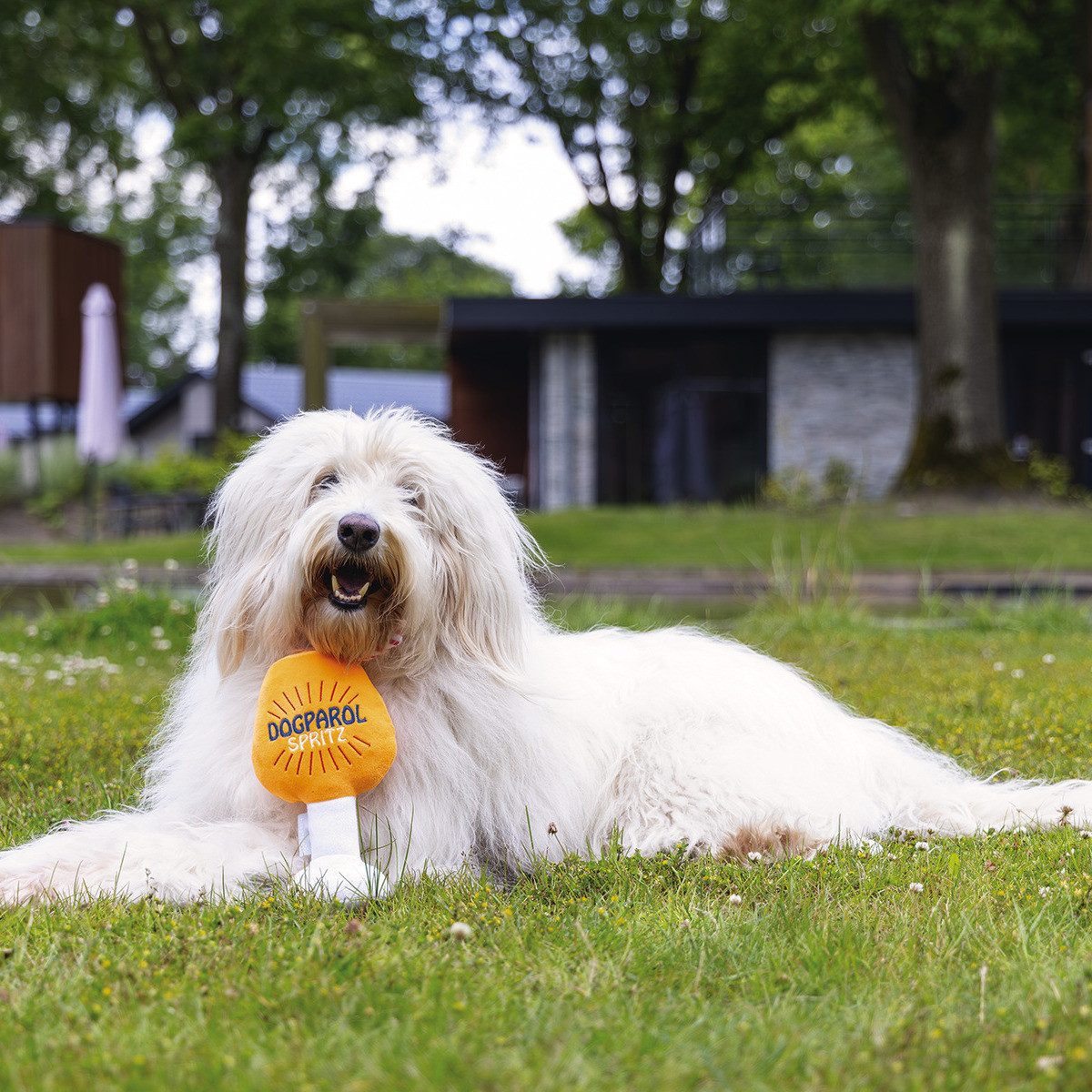 Beeztees Tierkuscheltier Hundespielzeug Apawrol aus Plüsch günstig online kaufen