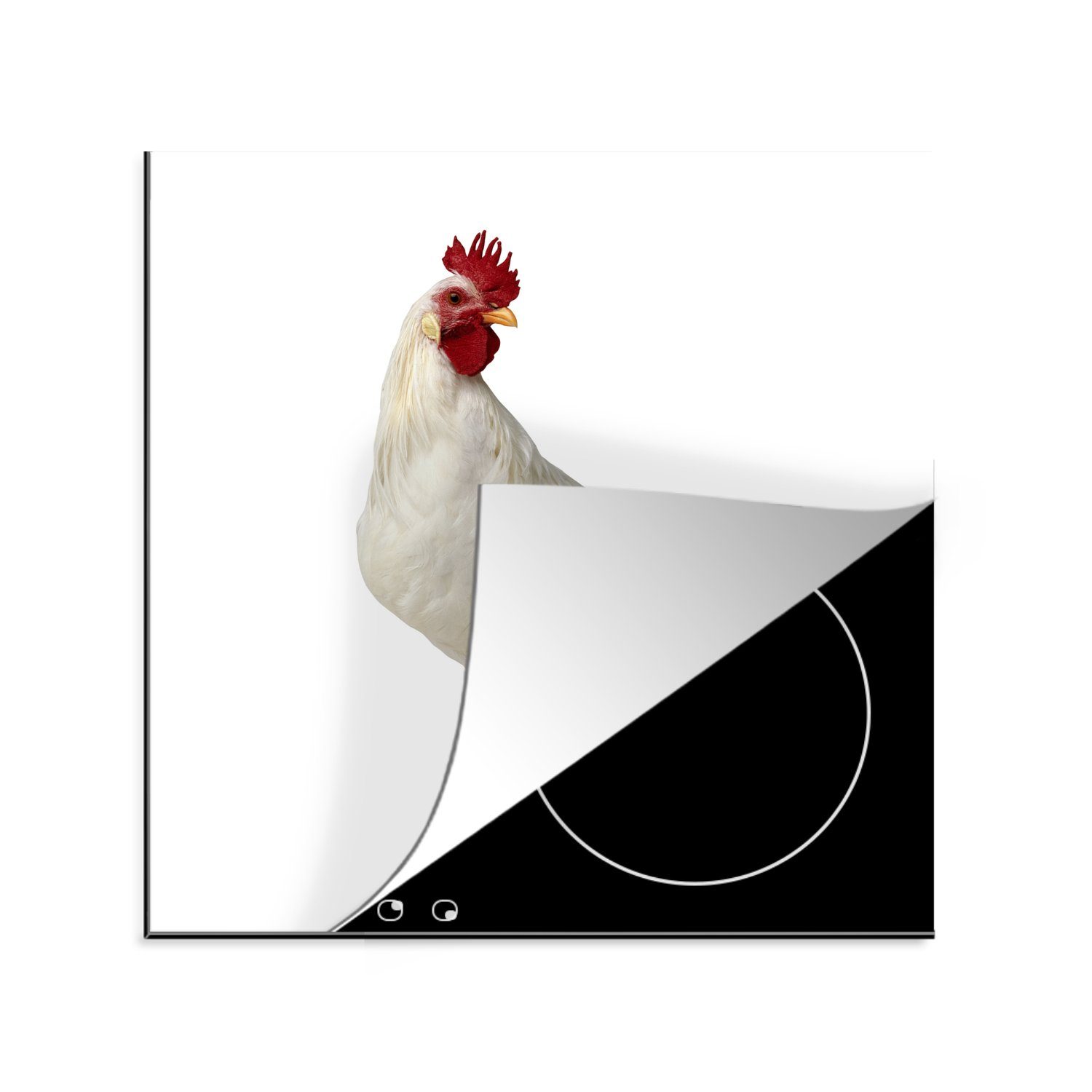 MuchoWow Herdblende-/Abdeckplatte Junger weißer Hahn auf weißem Hintergrund, Vinyl, (1 tlg), 78x78 cm, Ceranfeldabdeckung, Arbeitsplatte für küche
