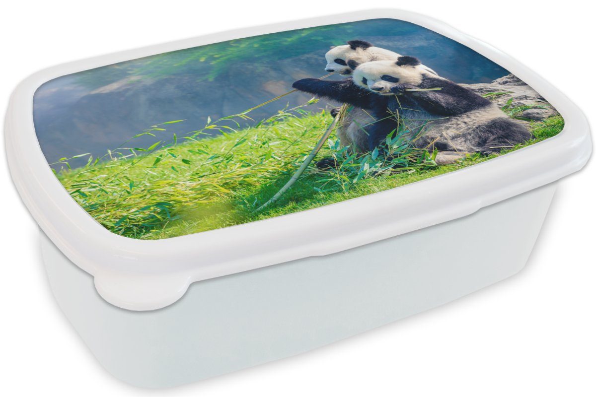 Bambus Lunchbox Gras Erwachsene, Brotbox Brotdose, - - Panda (2-tlg), für Tiere, weiß Kunststoff, MuchoWow und - für und Mädchen Jungs Kinder