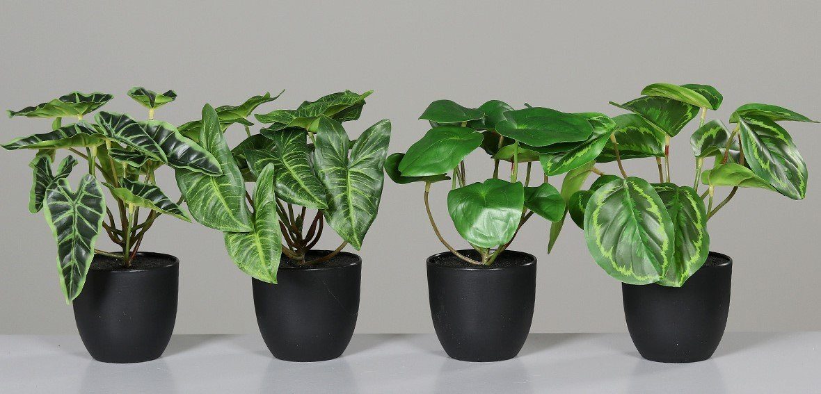 Kunstpflanze, DPI, Höhe 22 cm, Grün H:22cm D:9cm Kunststoff