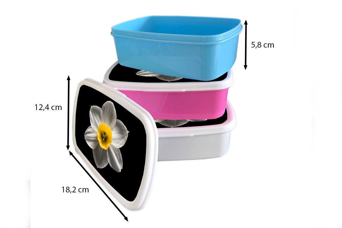 Hintergrund, Brotdose, MuchoWow Brotbox für Mädchen Erwachsene, und und (2-tlg), Kunststoff, auf Jungs weiße für Kinder Narzissenblüte schwarzem Lunchbox Eine