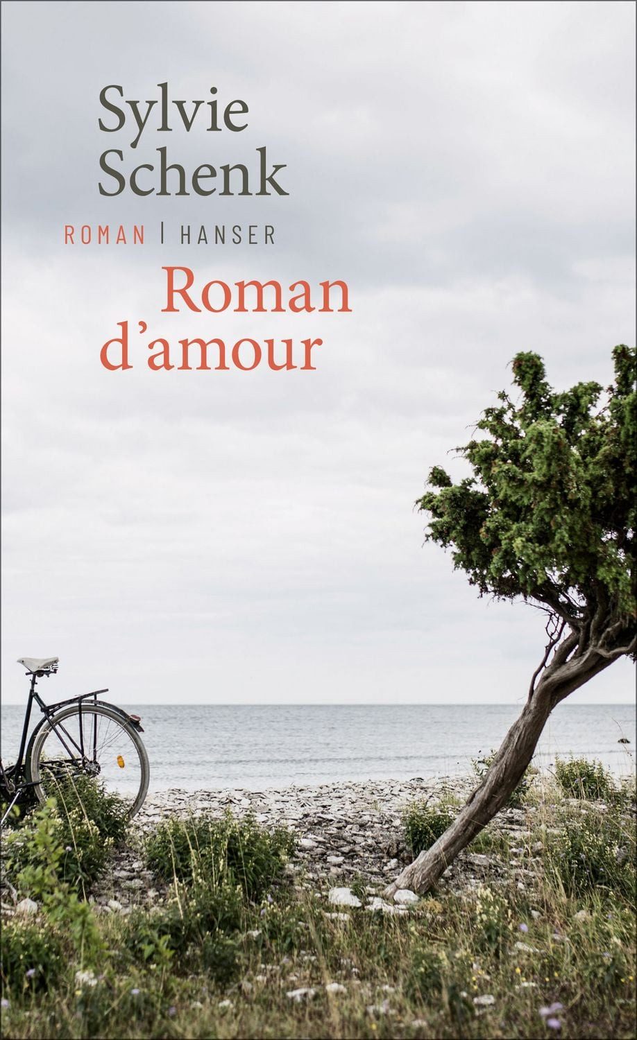 Roman d’amour Roman / Sylvie Schenk, Roman