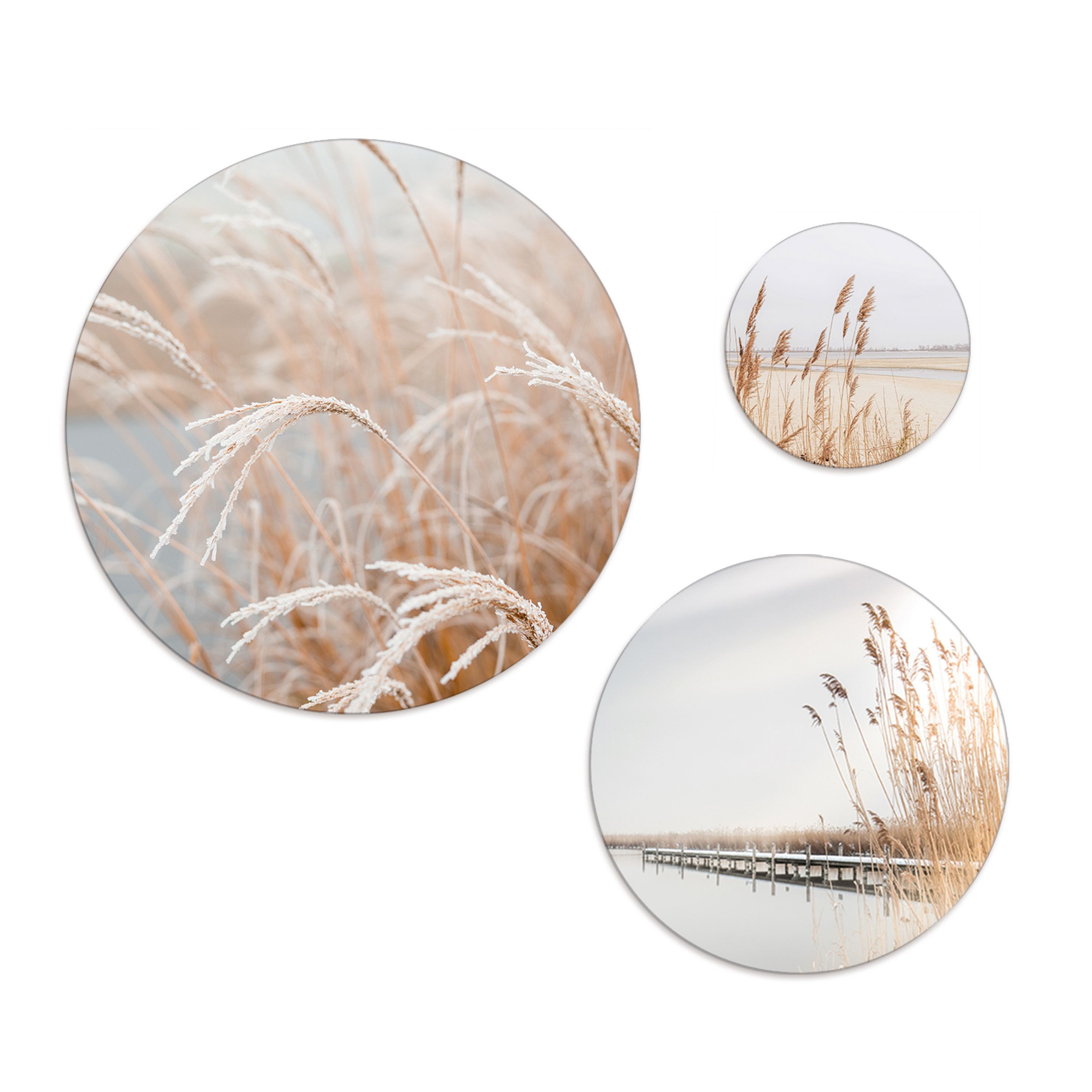 artissimo Mehrteilige Bilder Bilder-Set 3-teilig 55/40/25 cm runde Wandbilder - Wanddeko beige, Boho-Style: Natur / Pampas-Gras