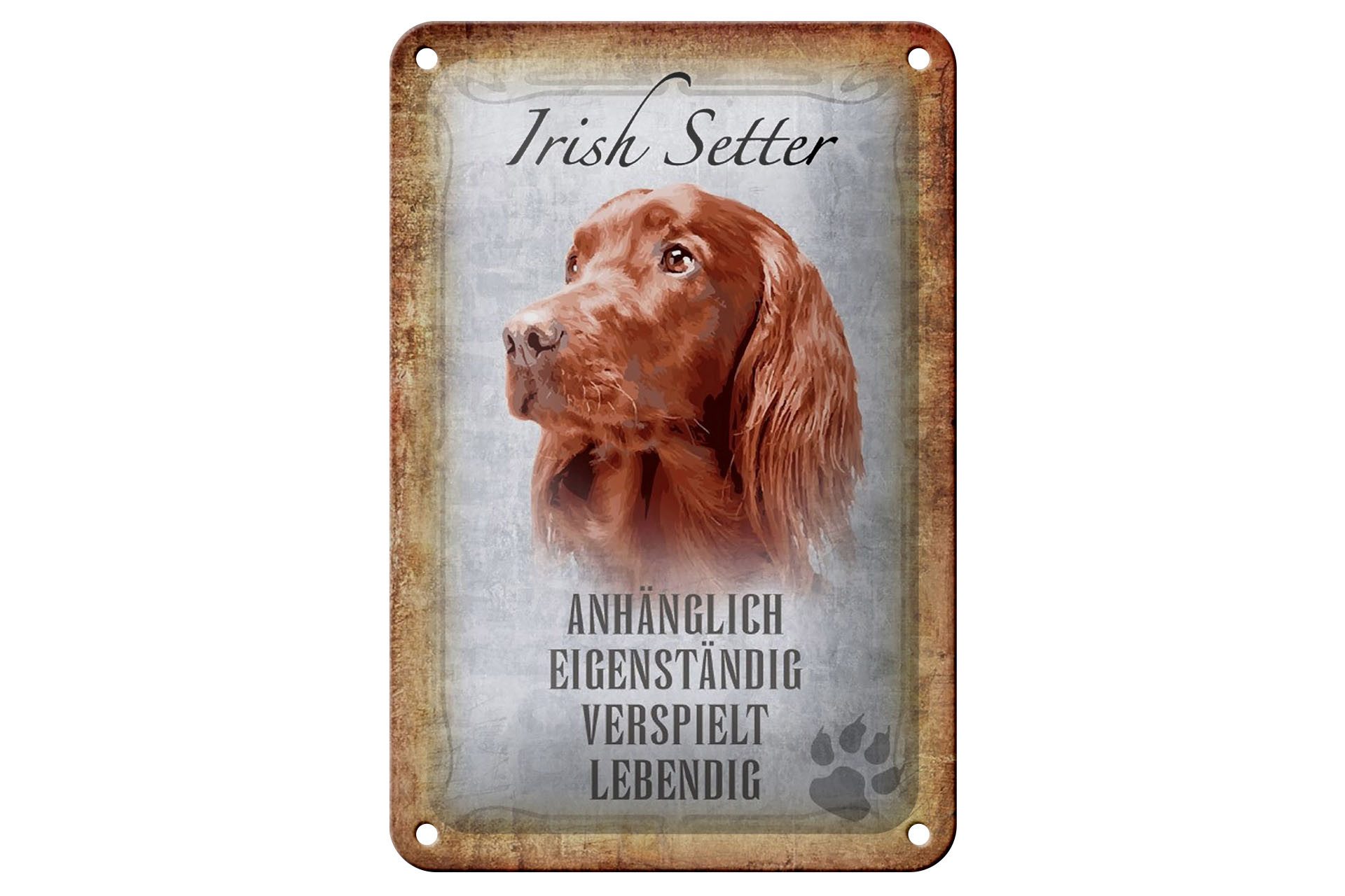 Femer GmbH Metallschild Spruch 12x18cm Irish Setter Hund, (1 St), gewölbte Oberfläche, abgerundete Ecken, umgeschlagene Kanten