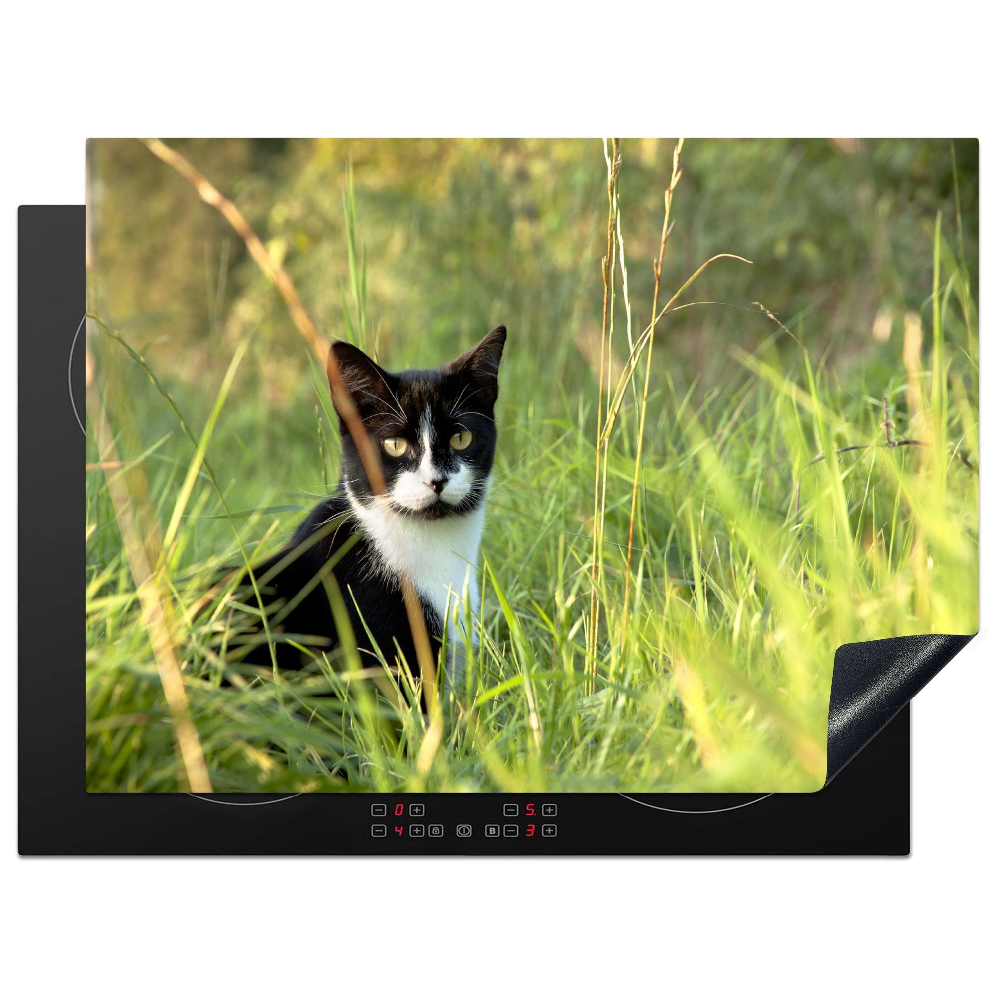 MuchoWow Herdblende-/Abdeckplatte Schwarz-weiße American Shorthair im hohen Gras, Vinyl, (1 tlg), 70x52 cm, Mobile Arbeitsfläche nutzbar, Ceranfeldabdeckung