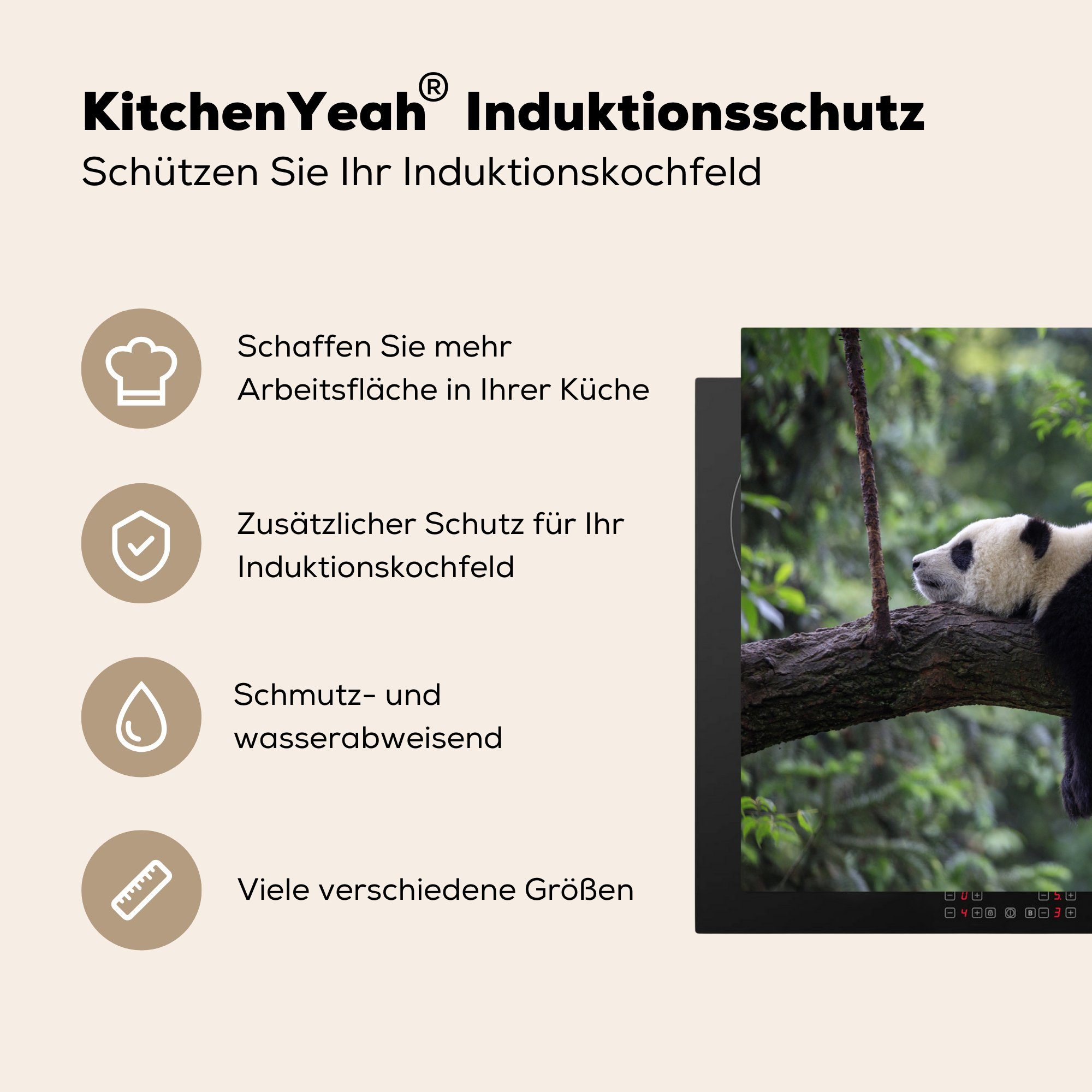 - MuchoWow küche - Herdblende-/Abdeckplatte 77x51 Natur, Vinyl, tlg), - (1 Arbeitsplatte Baum Ceranfeldabdeckung, Tiere Panda für cm,