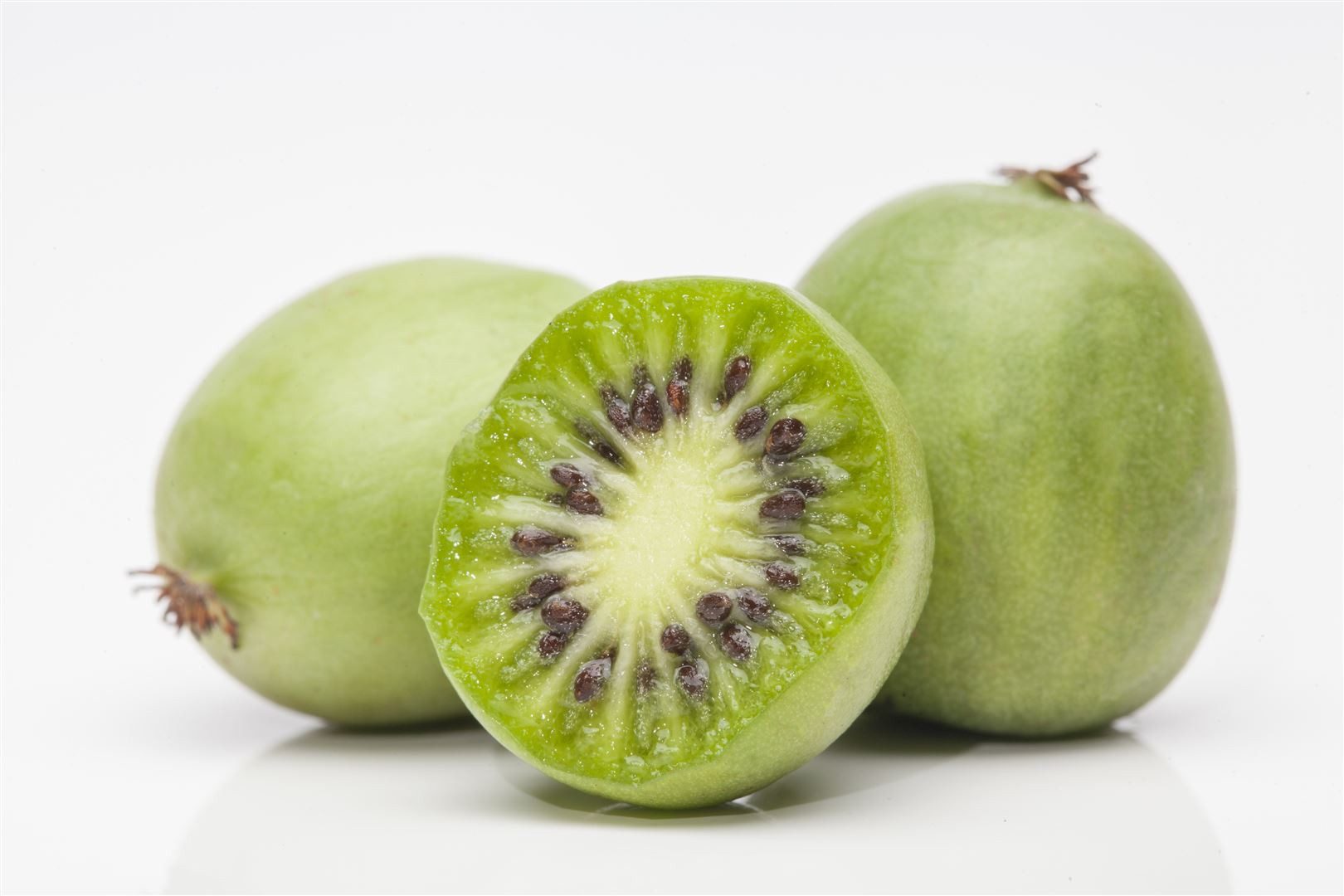 Pflanzen für Dich Obstpflanze Actinidia arg. Weiki, 1 St., Kiwi, Kiwibeere, Weiki-Kiwi, kiwifrucht, winterhart