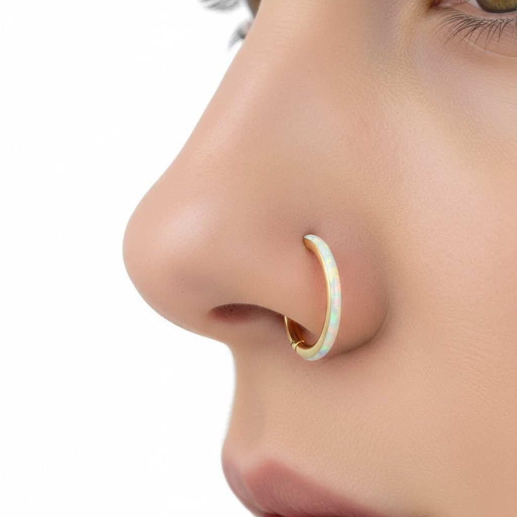 Karisma Nasenpiercing Titan G23 Hinged Segmentring günstig online kaufen