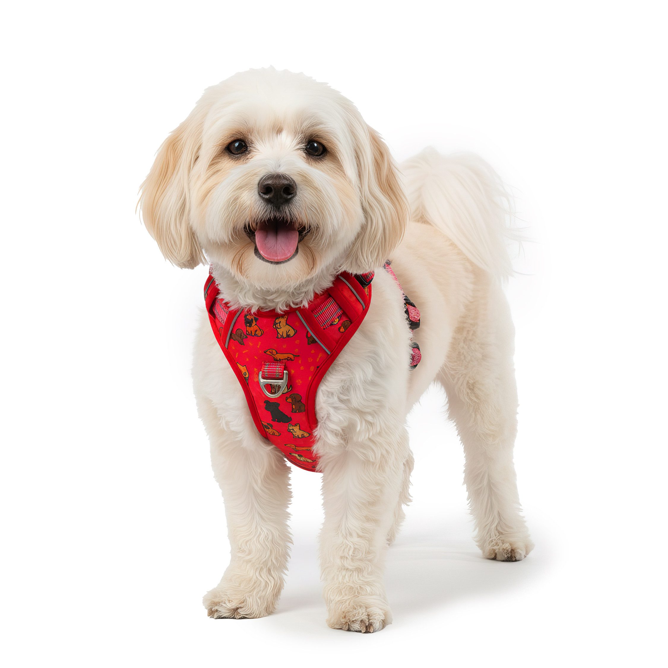 Reichstadt Hunde-Geschirr Reichstadt Pets Hundegeschirr 25RSP083, Polyester günstig online kaufen