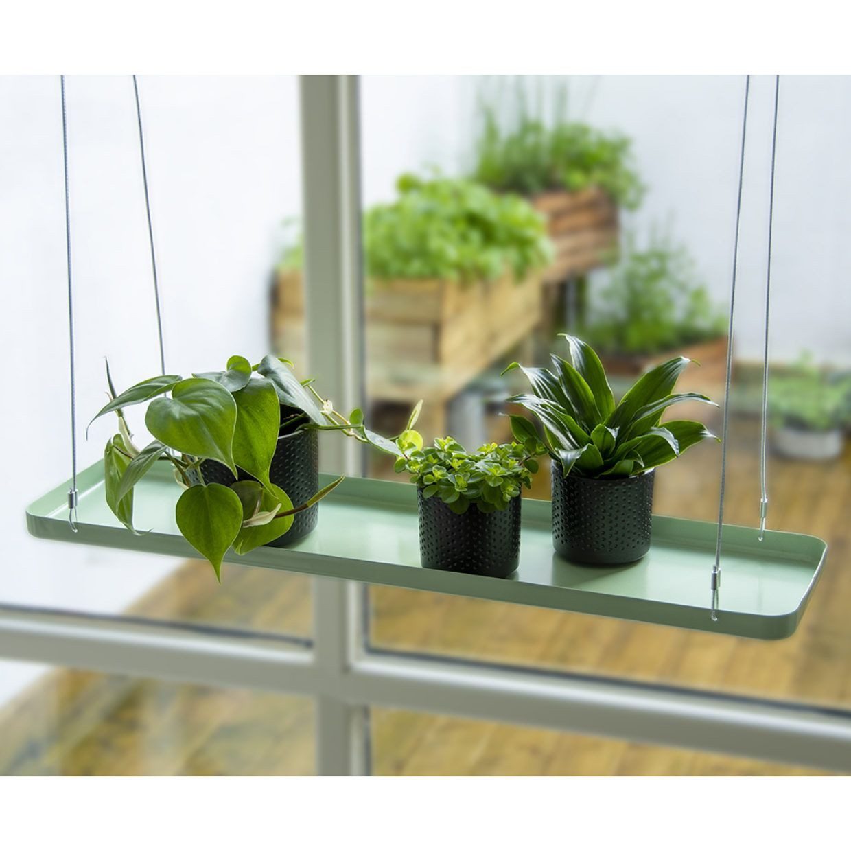 Rivanto Fensterdekoration, Hängendes Pflanzentablett rechteckig L günstig online kaufen