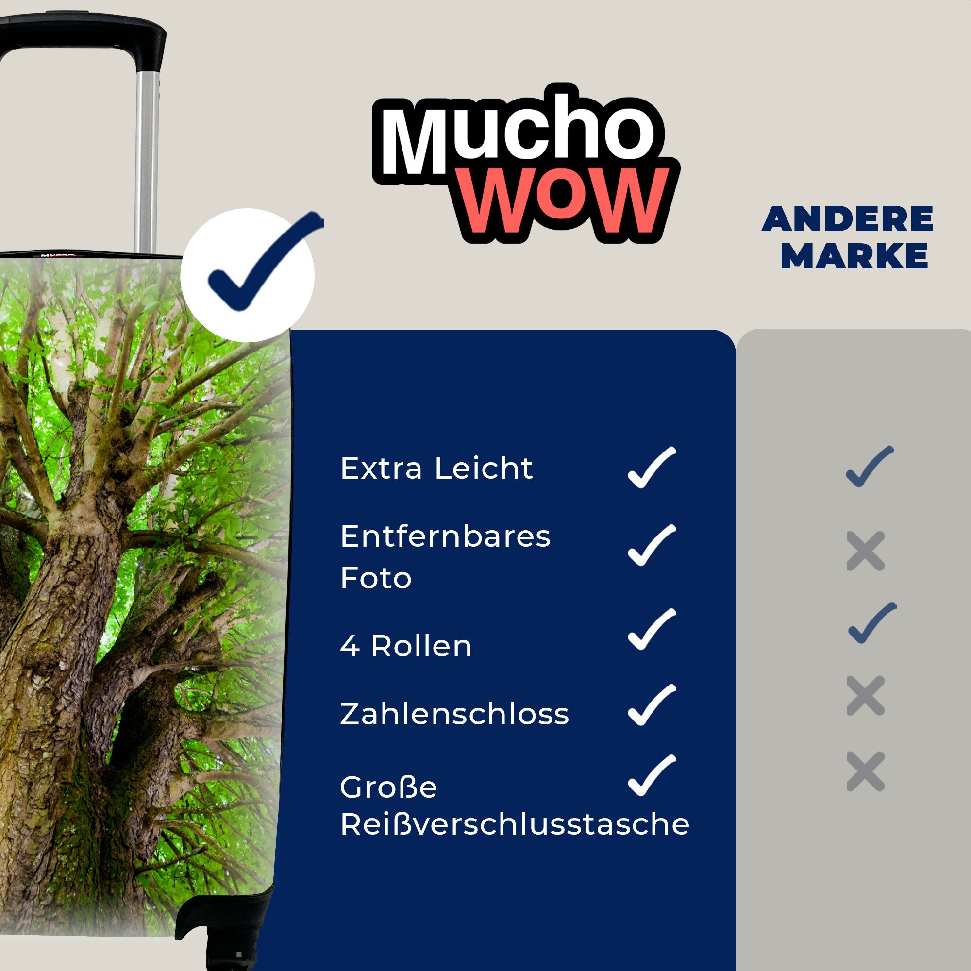 MuchoWow Handgepäckkoffer Ein Kastanienbaum Handgepäck Reisekoffer Reisetasche Ferien, im Trolley, Rollen, für 4 Sommer, mit rollen