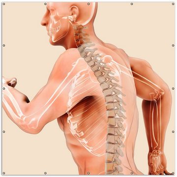Wallario Sichtschutzzaunmatten Anatomie Wirbelsäule - Menschliches Skelett beim Laufen