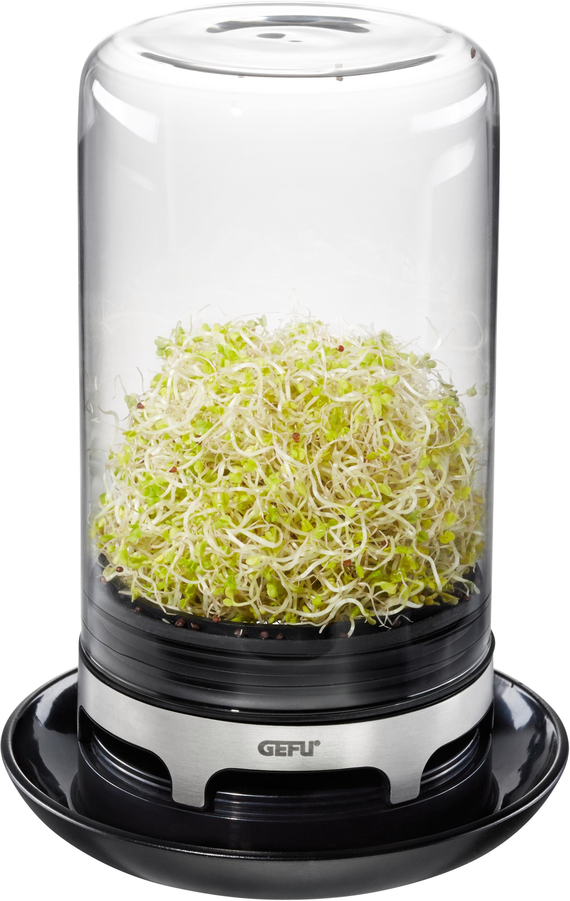 GEFU Kräutertopf Bivita, Sprossenglas günstig online kaufen