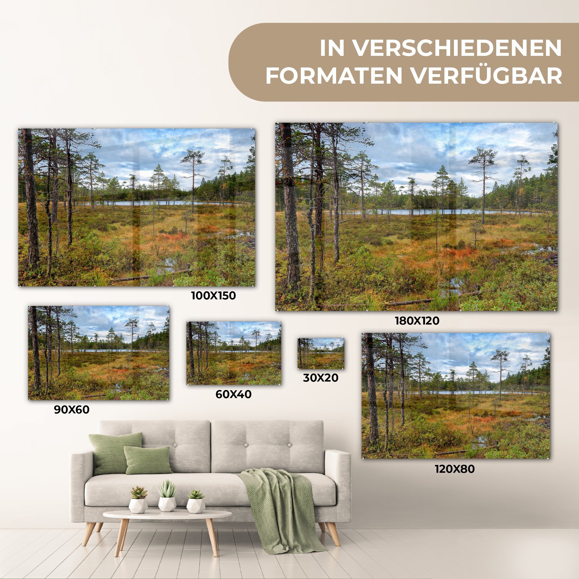 Skuleskogen-Nationalpark & in Schweden, MuchoWow Schlafzimmer (1 Wälder Acrylglasbild im St), Acrylglasbilder Wohnzimmer gefärbte Herbstlich